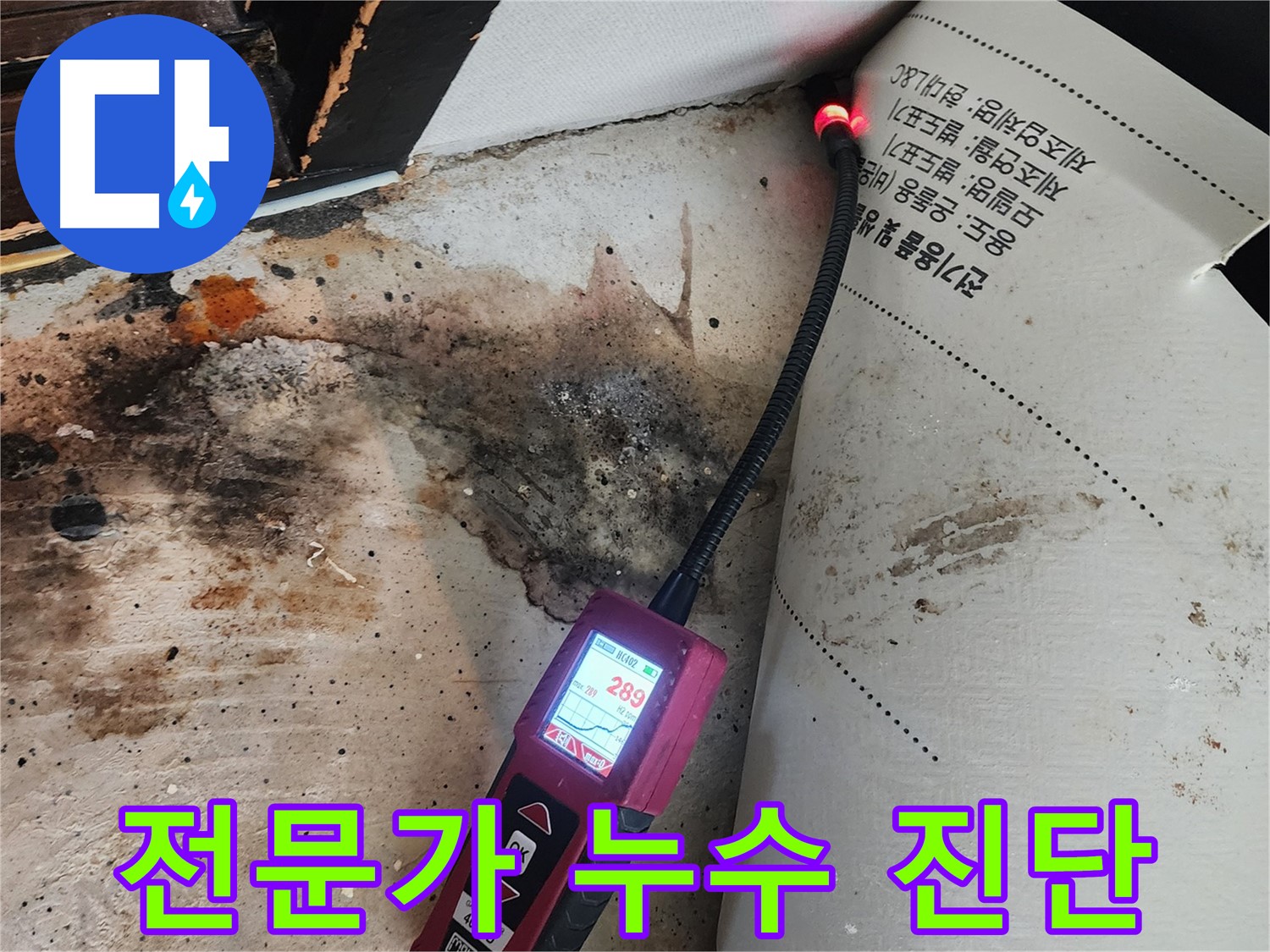 광진구 누수 - 구의동 곰팡이, 전문가의 정확한 진단으로 해결