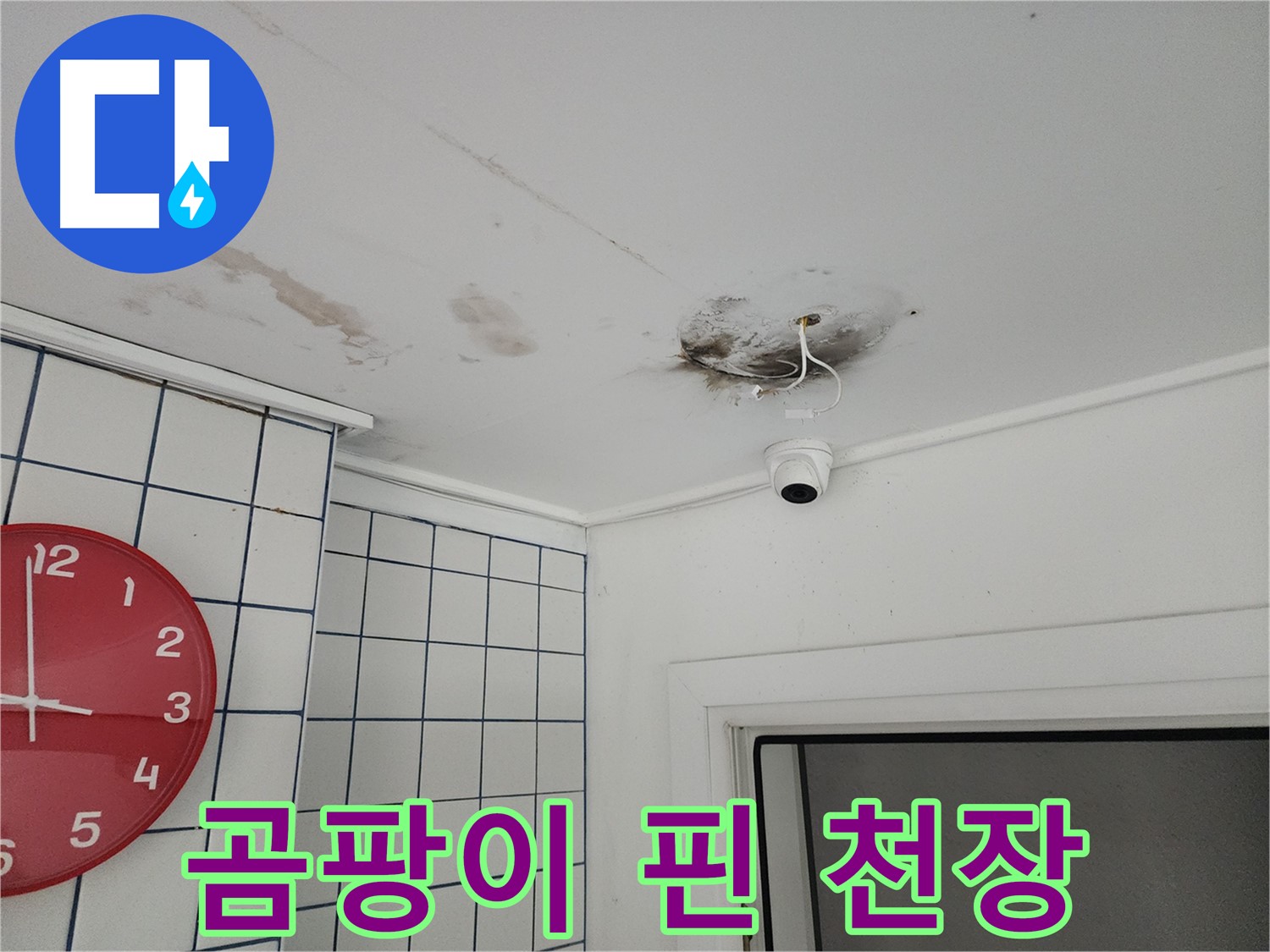 광진구 능동 주택 천장 누수 - 곰팡이 핀 천장, 빠른 해결이 중요합니다.