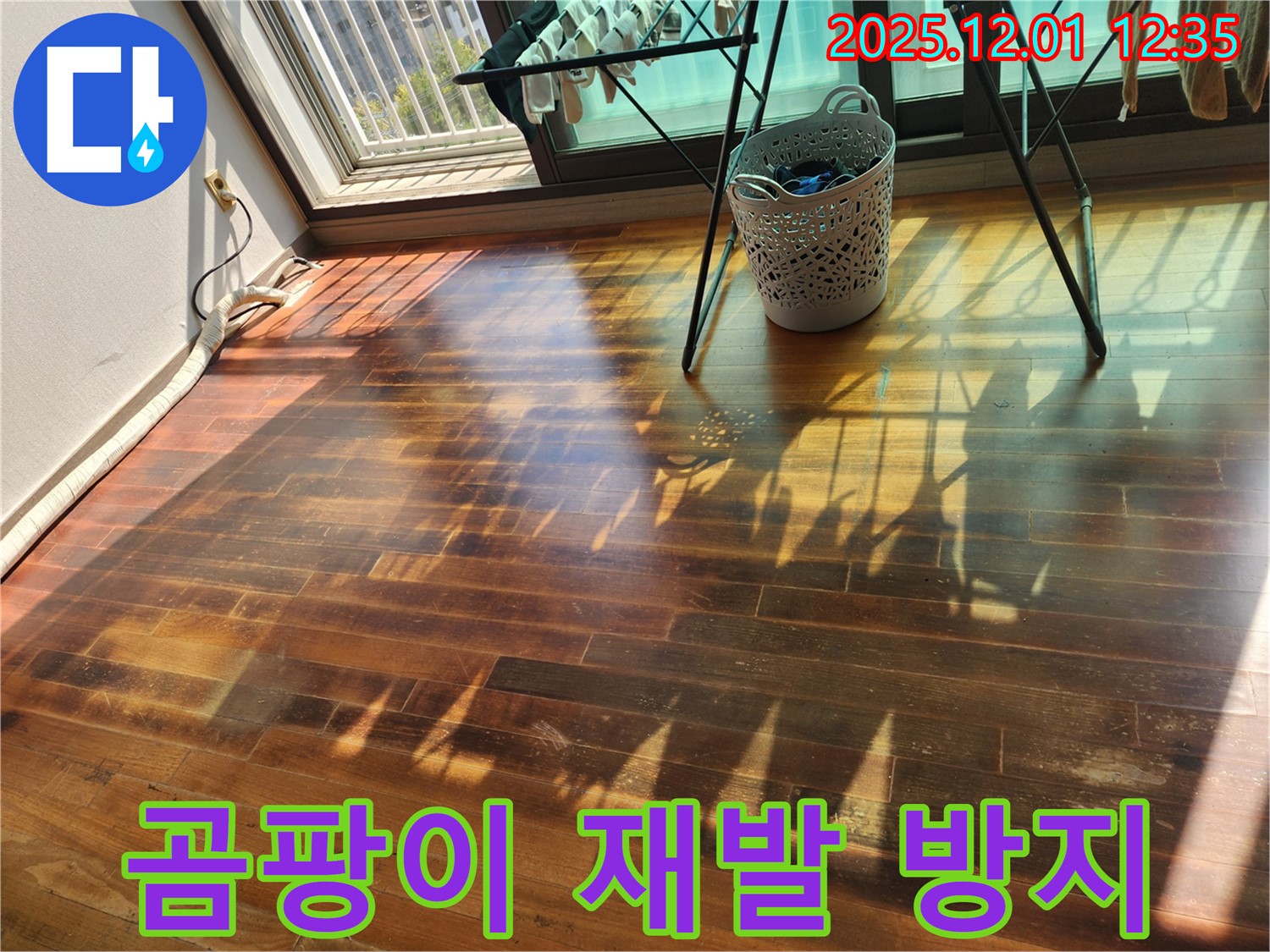포천시 이동면 도평리 주택 - 누수로 인한 마루 곰팡이, 누수 전문가가 재발 방지 시공으로 곰팡이 걱정 없이 만들어 드립니다.