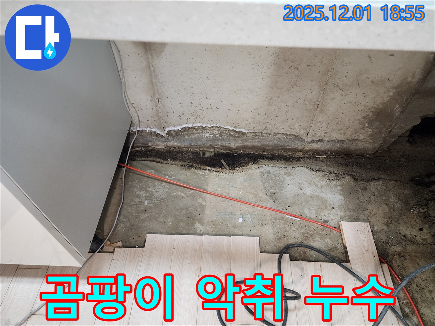 이동면 연곡리 싱크대 누수 - 곰팡이 악취 발생 및 누수 원인 긴급 탐지