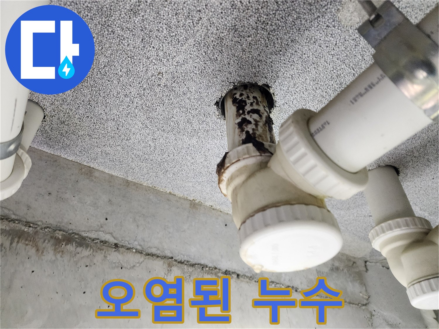 오염된 물 누수 - 누수 발생 시 빠른 대처와 전문가의 도움 필요