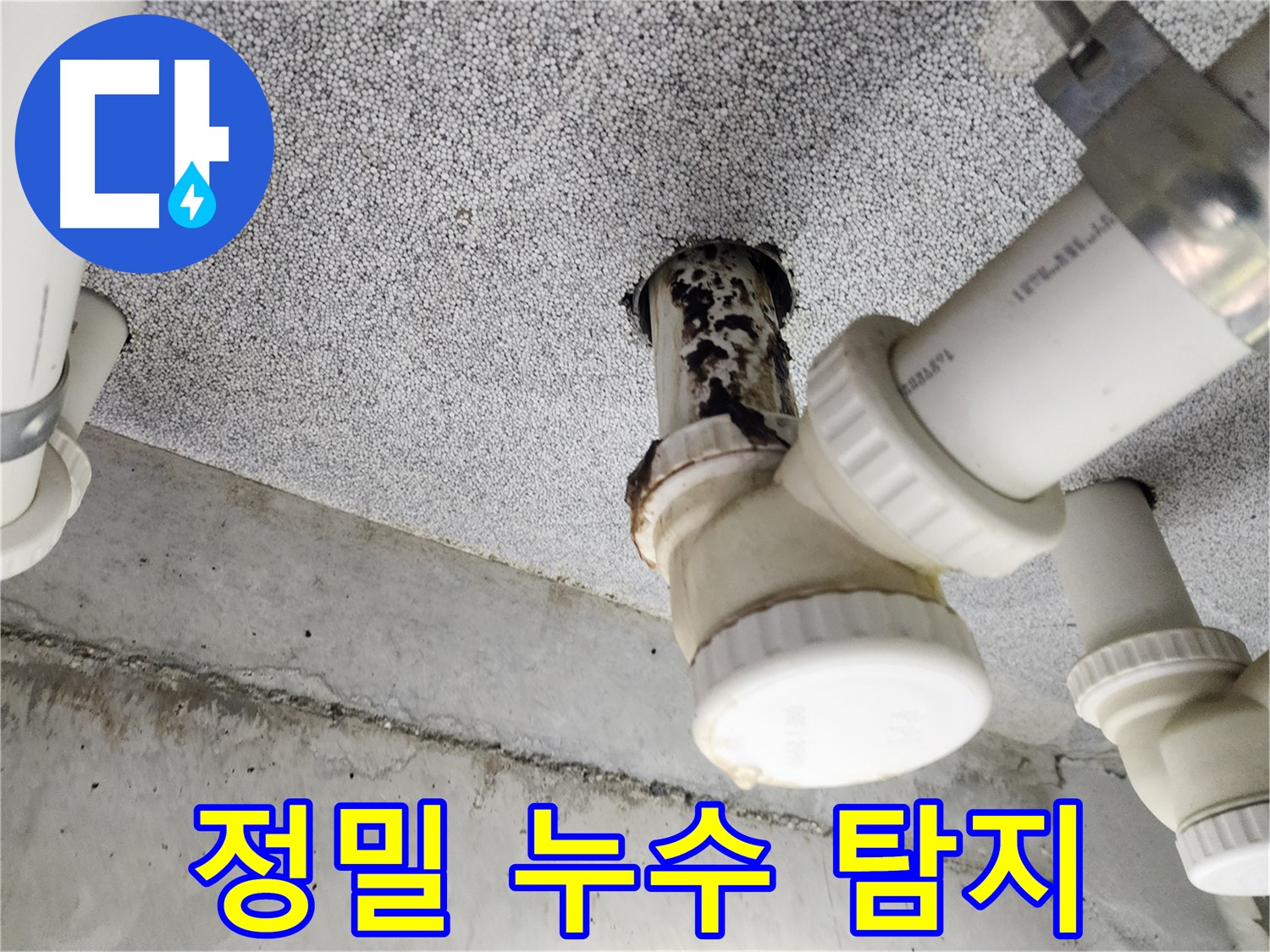 정밀 누수 탐지 작업 - 첨단 장비와 숙련된 기술