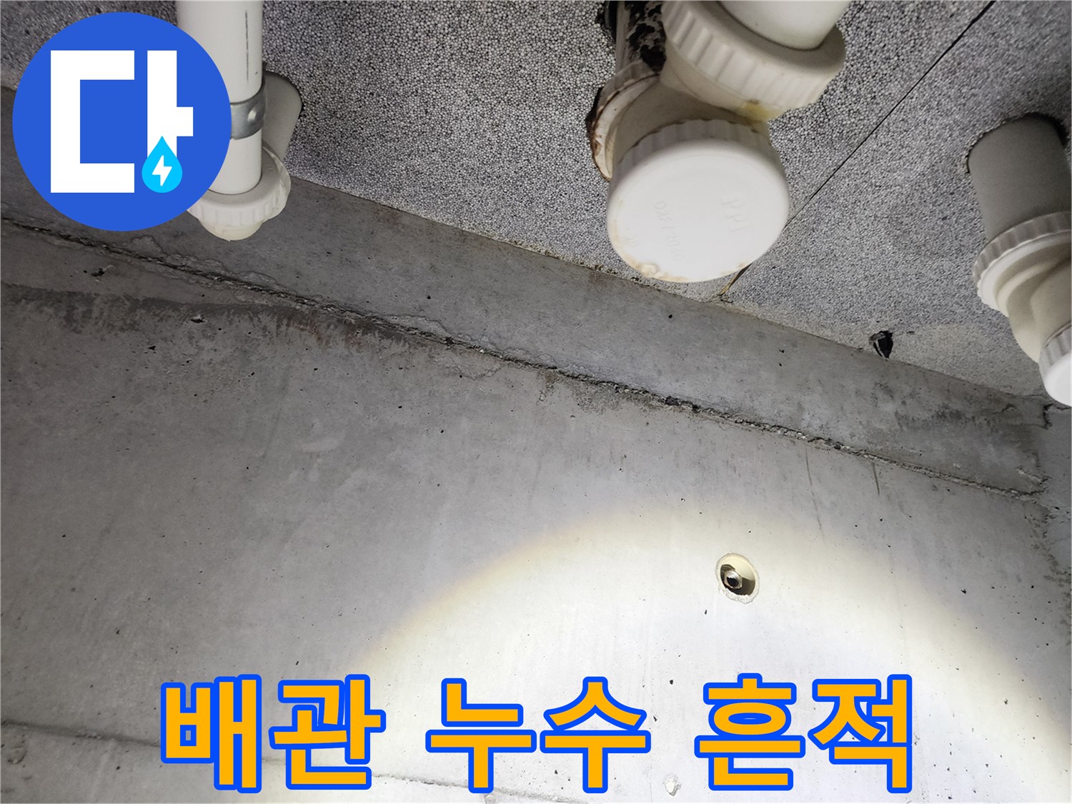 천장 배관 누수 흔적 - 누수 발생 지점 주변으로 물 얼룩과 곰팡이가 발견됨