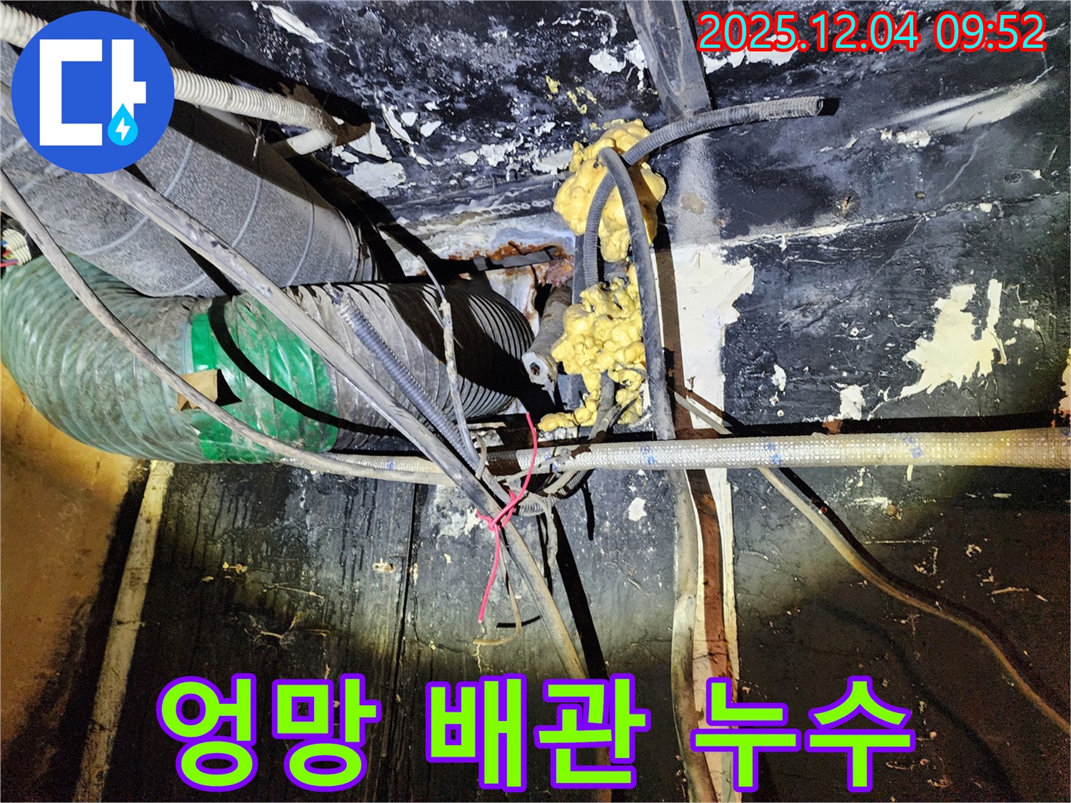 성동구 마장동 누수 현장 - 복잡하게 얽힌 배관 속에서 누수 지점을 찾아 해결하는 모습입니다.