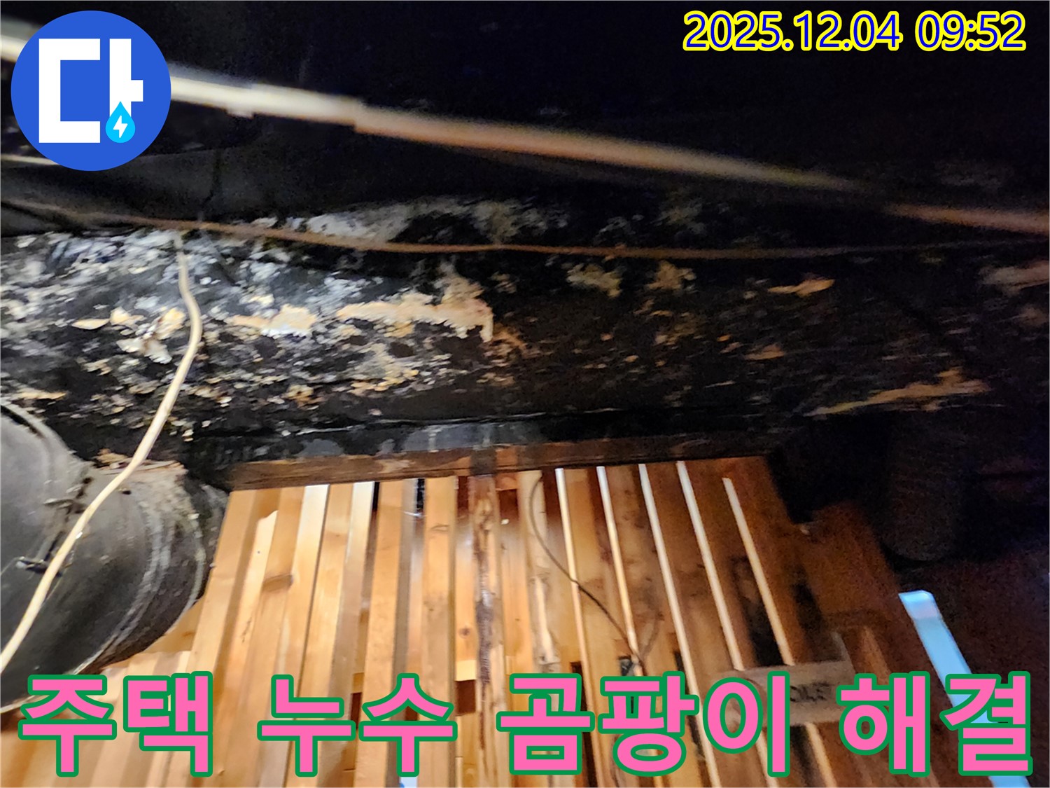 성동구 마조로 주택 누수 - 곰팡이 제거 후 쾌적한 보금자리로 변신