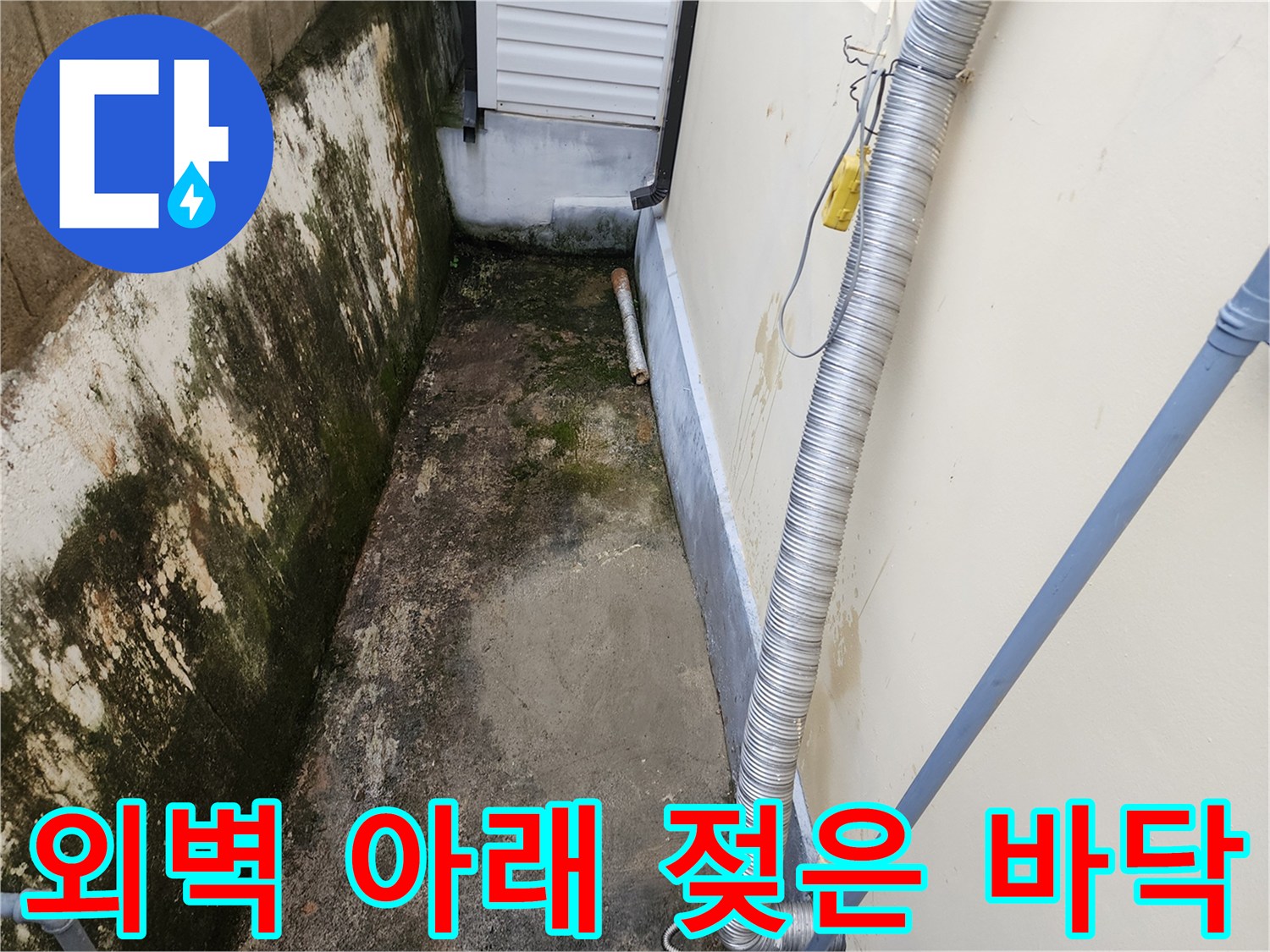 건물 외벽과 연결된 지면의 습기 및 곰팡이 상태를 보여주는 사진입니다.