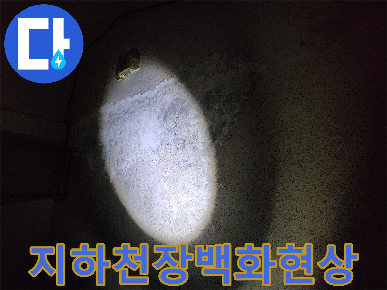 지하 주차장 천장 슬래브에 발생한 백화 현상과 습기 상태