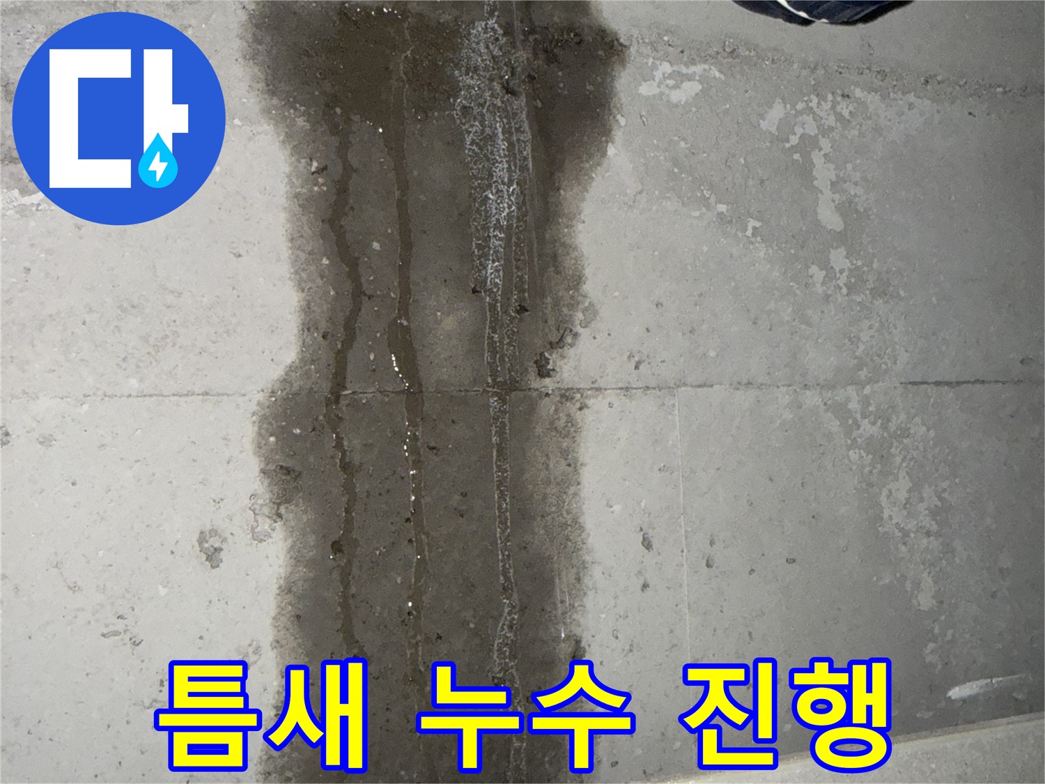 동두천 지행동 아파트 누수 - 타일 틈새로 누수 진행 중