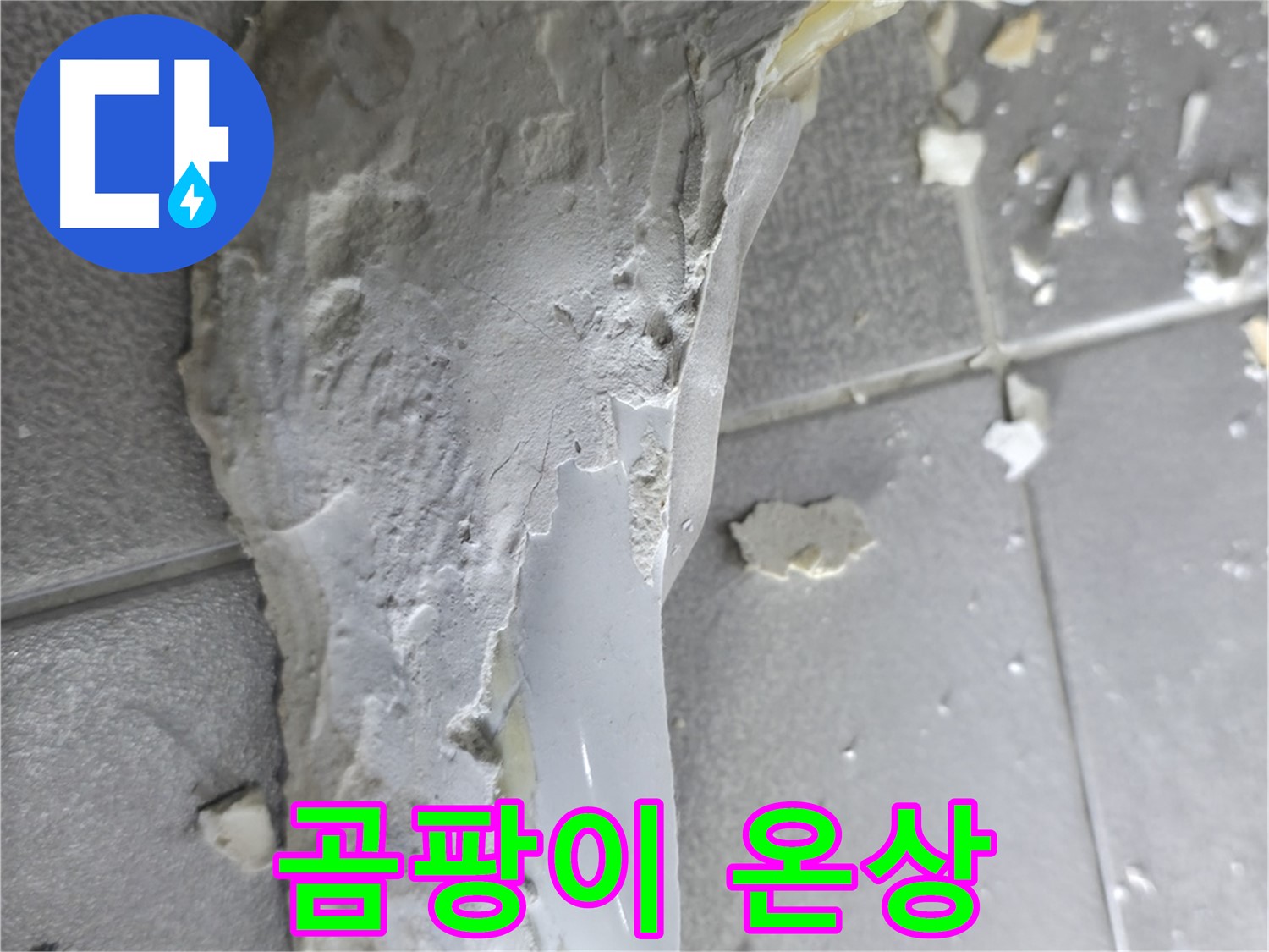 마포구 중동 누수 - 석고보드 오염, 곰팡이 확산 방지를 위한 긴급 조치