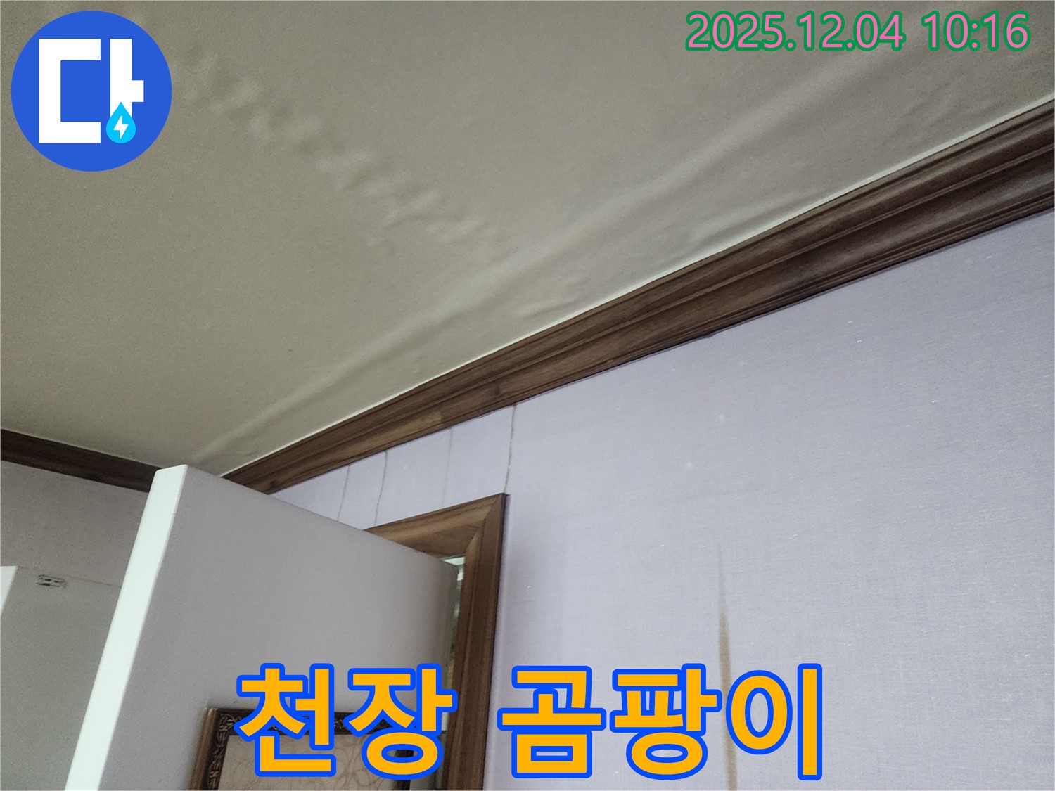 경기도 포천시 일동면 유동리 천장 곰팡이 - 누수로 인한 곰팡이, 전문적인 제거가 중요합니다.