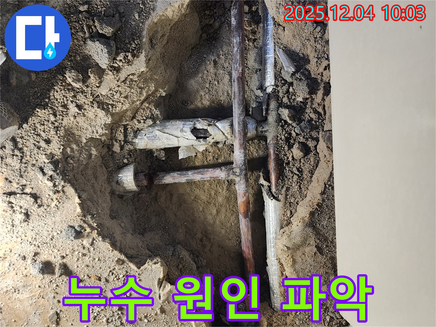 포천 일동 유동리 누수 현장에서 누수의 정확한 원인을 파악하고 있습니다. - 숙련된 기술로 문제 해결!