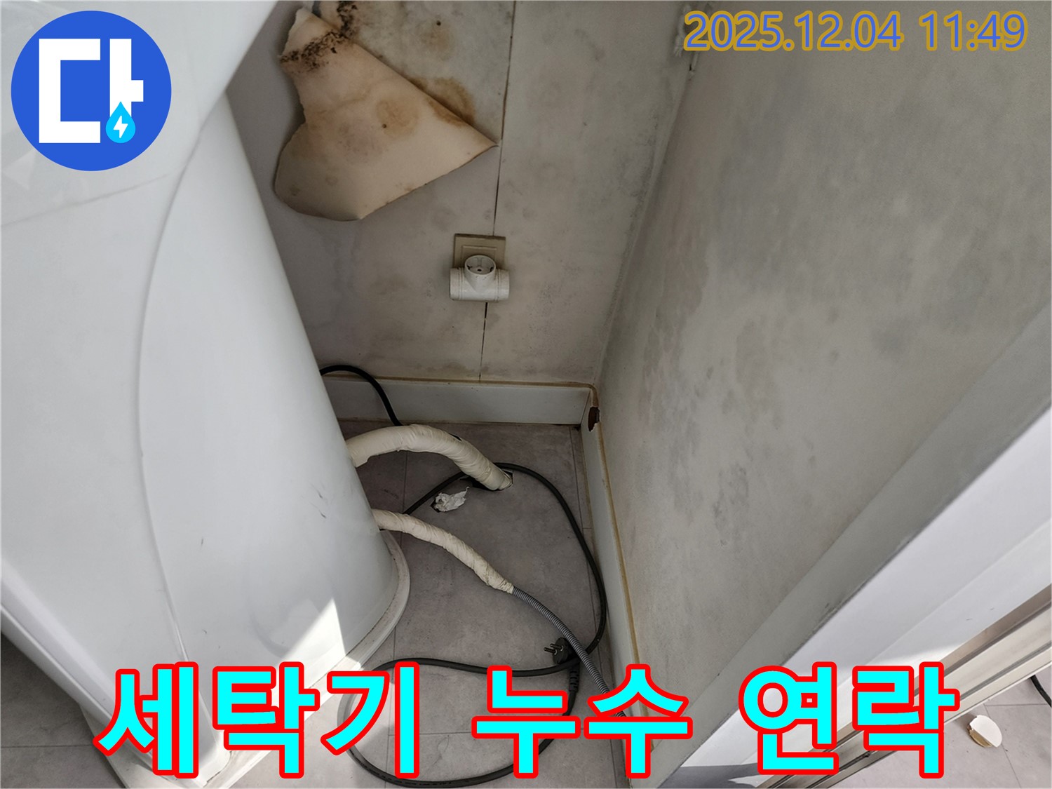 일동면 - 세탁기 뒤 젖은 벽 - 콘센트 곰팡이 - 감전사고 위험 - 즉시 연락 주세요