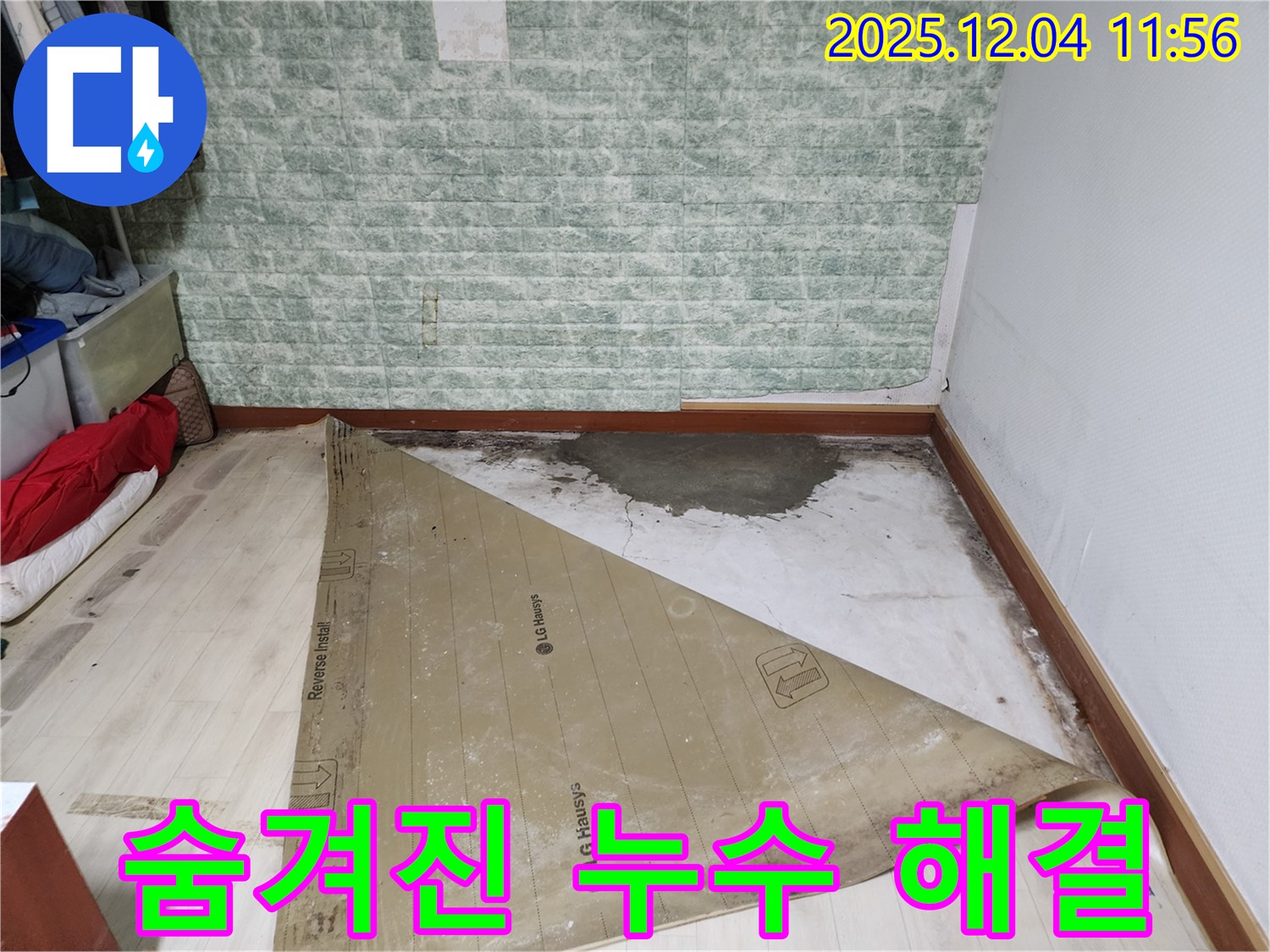 포천 누수 - 썩은 장판 밑 숨겨진 누수 곰팡이 24시간 긴급 해결