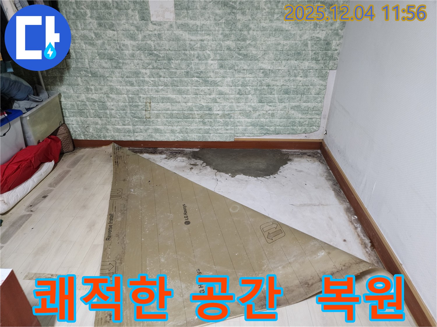 포천 일동 누수 - 썩은 장판 곰팡이 악취 3중고 완벽 복원 쾌적한 공간