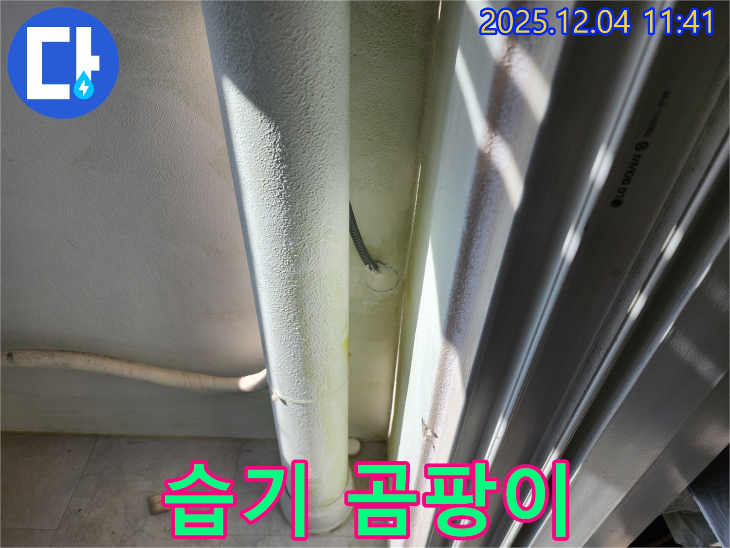 포천시 일동면 기산리 누수 - 배관 주변에 습기와 곰팡이가 발생한 것을 확인했습니다 - 누수 가능성이 높습니다.