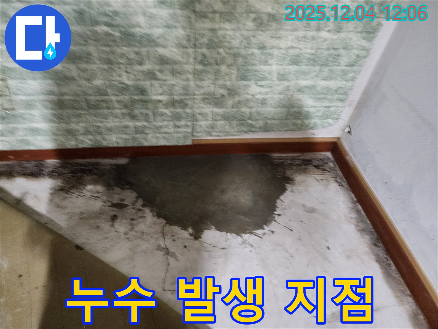 포천시 일동면 기산리 주택 - 누수 발생 지점, 누수탐지 전문가의 신속한 해결