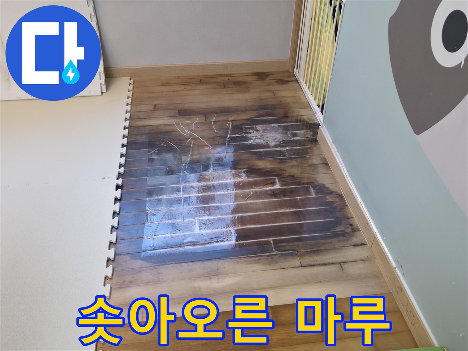 마루가 솟아오른 심각한 상태 - 누수로 인해 마루가 심하게 변형되었습니다.