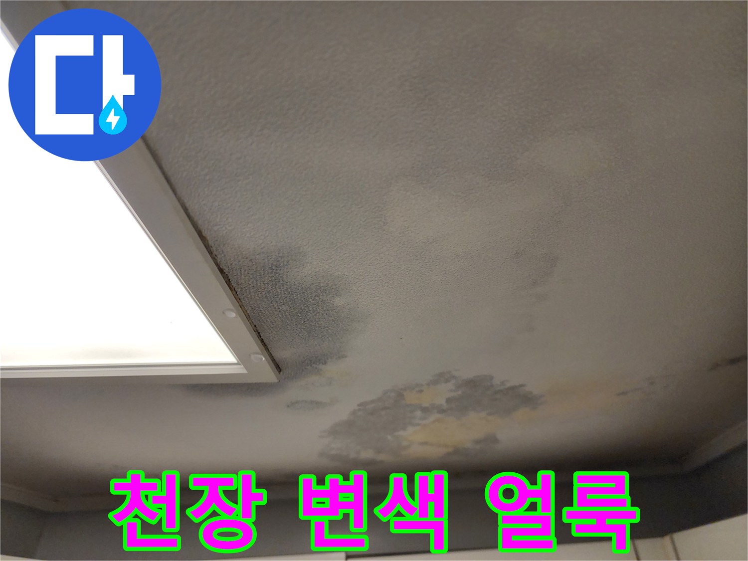 거실-천장-부분적인-물샘-자국과-변색된-상태