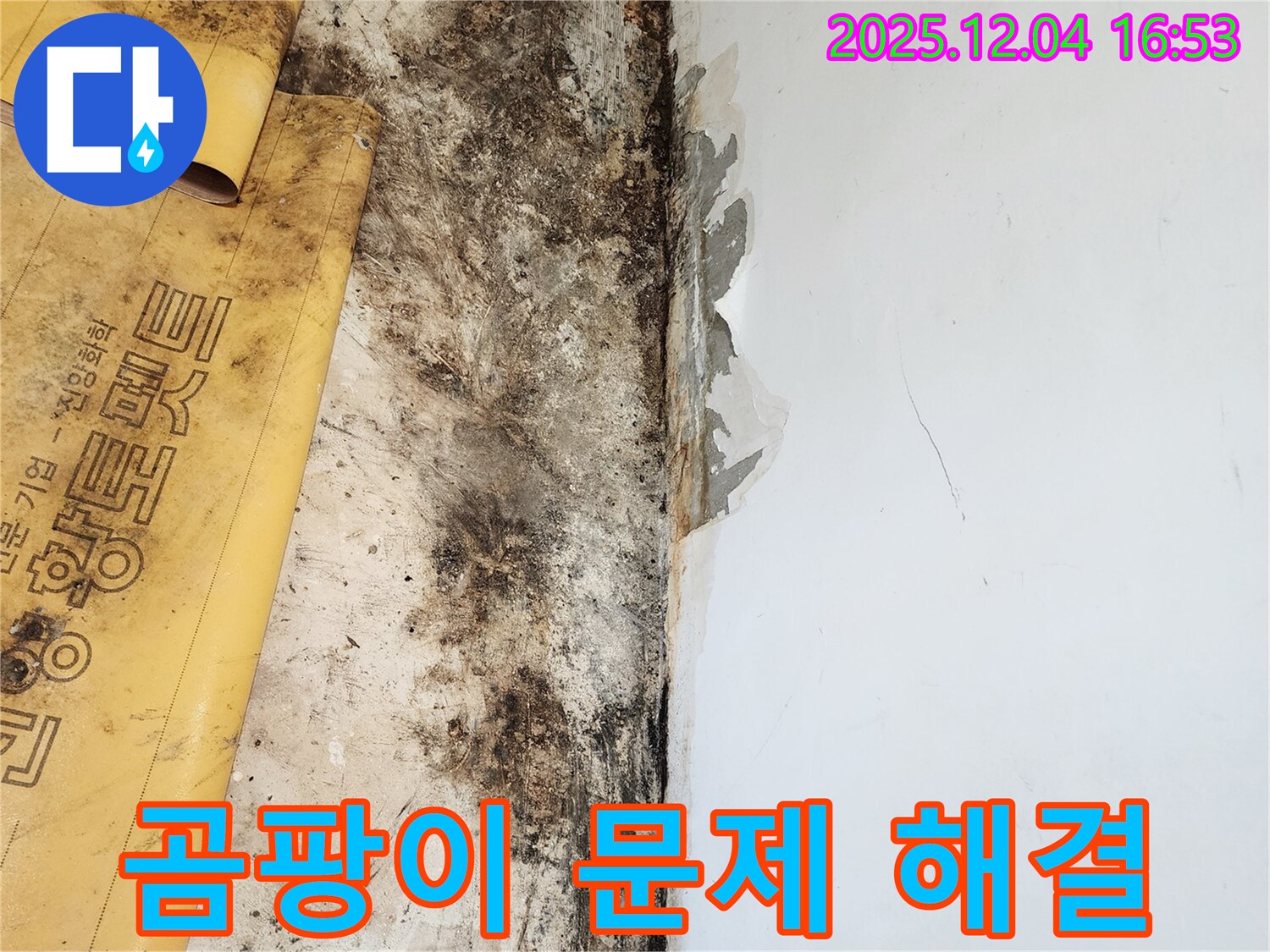 곰팡이 문제 해결 - 확실한 기술력으로 해결
