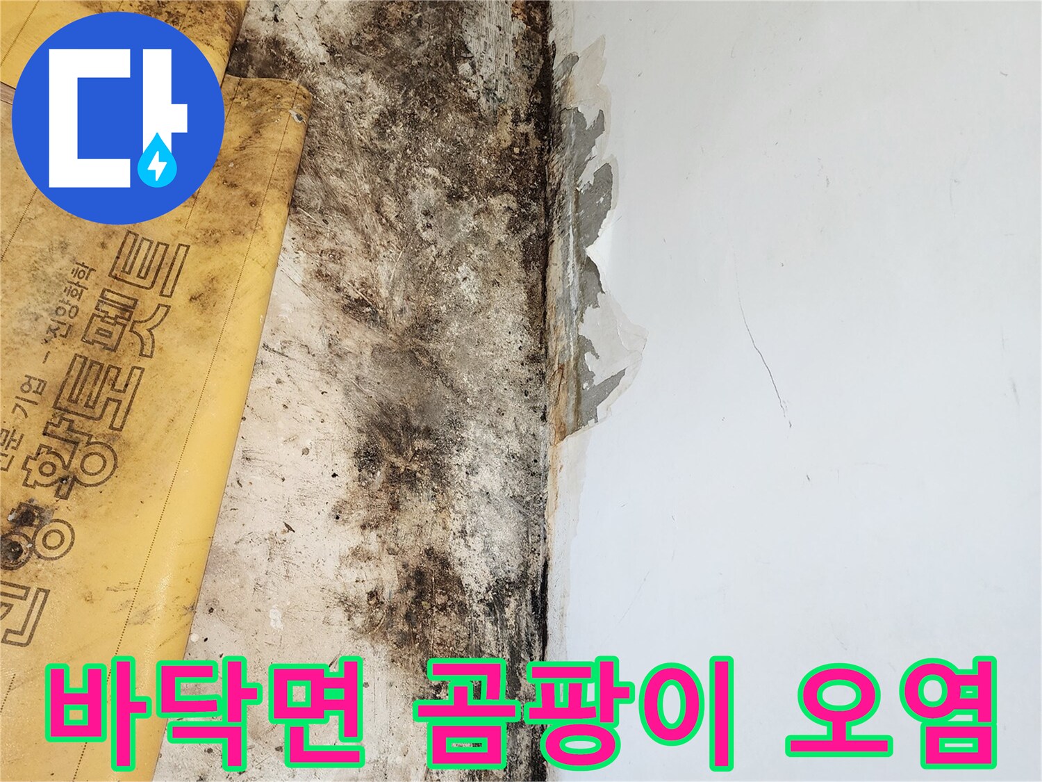 누수로 인해 검게 변한 바닥 면과 벽면의 경계 부분 곰팡이 발생 현황