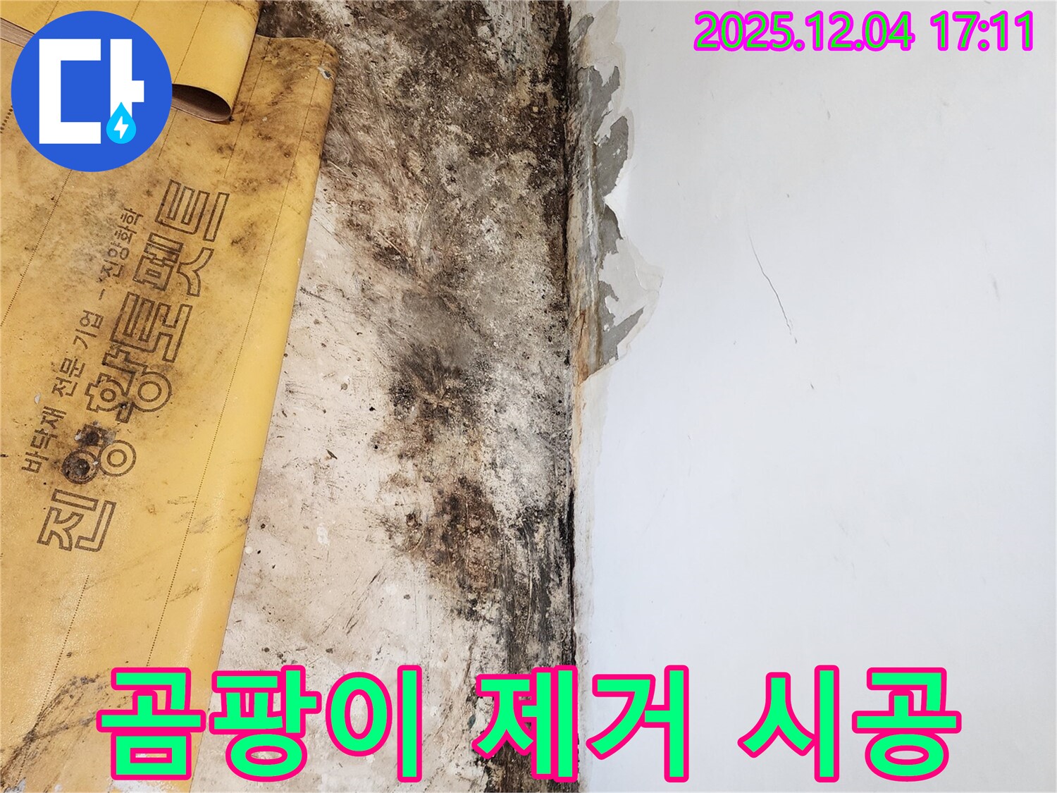 포천시 일동면 화대리 503번지 누수 - 곰팡이 제거 긴급 시공 현장