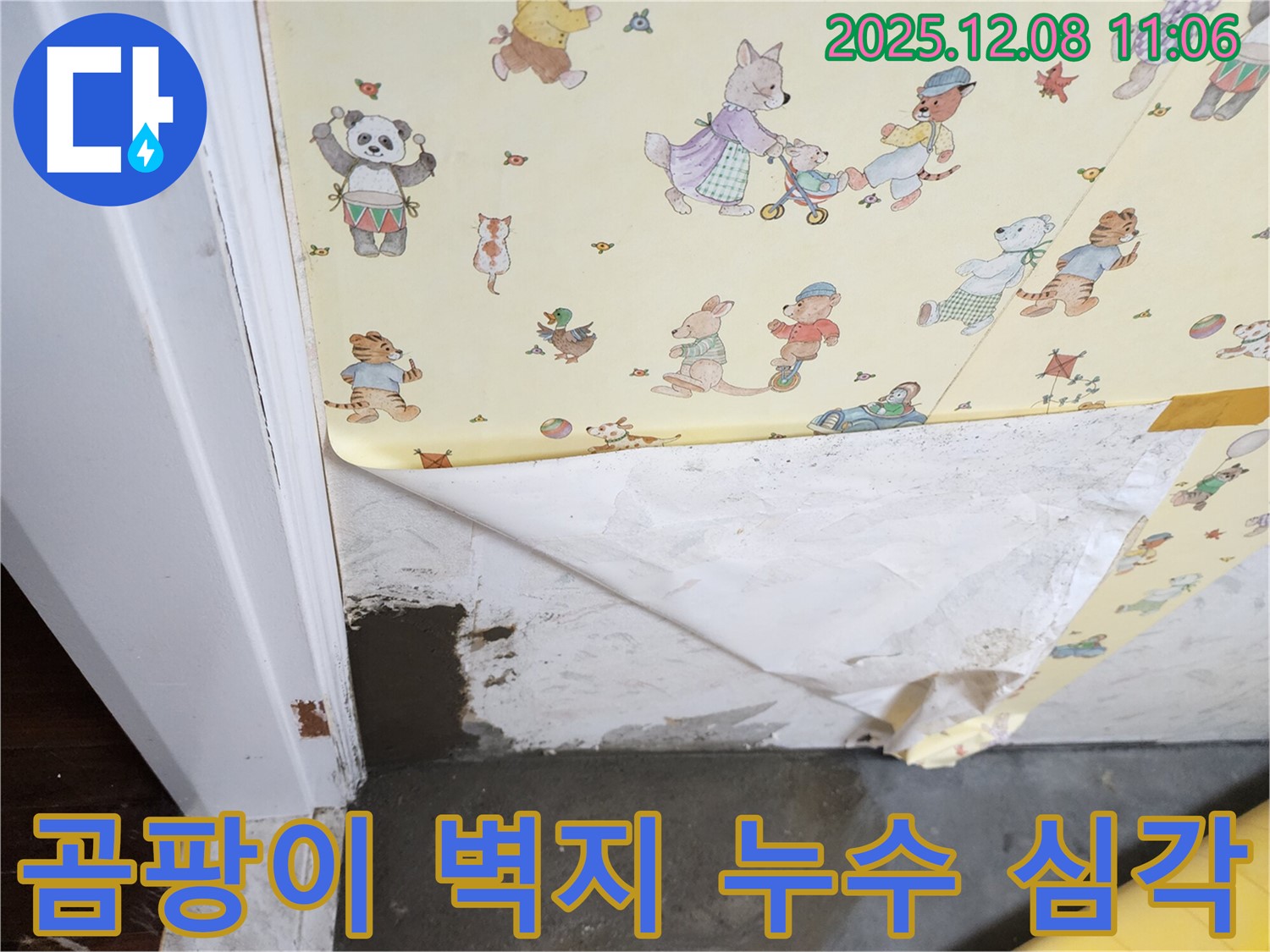 포천 영중면 거사리 누수 현장 - 곰팡이 핀 벽지, 심각한 누수 상황