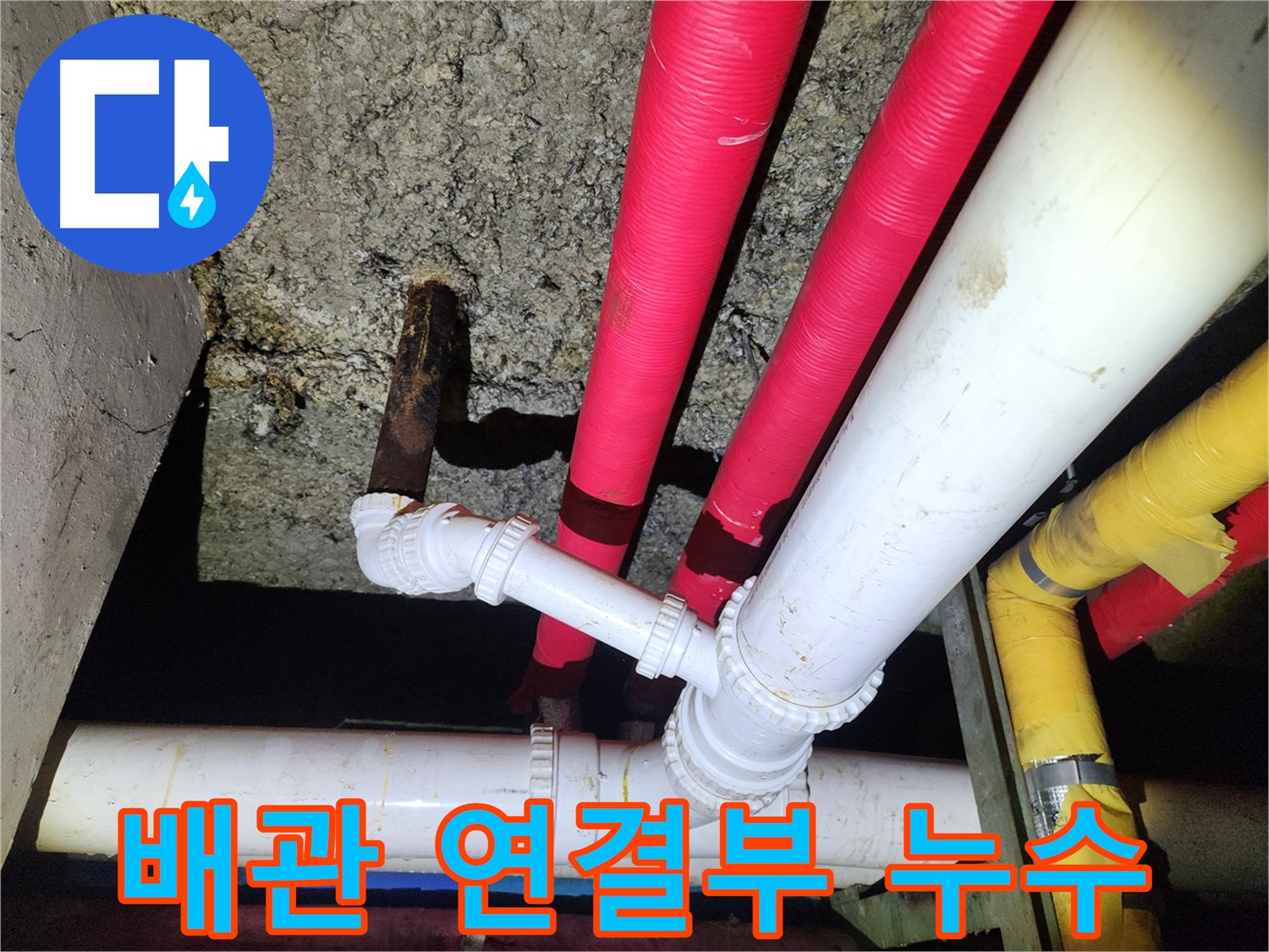 노원구 월계동 배관 연결부 누수 - 꼼꼼한 점검으로 완벽 해결