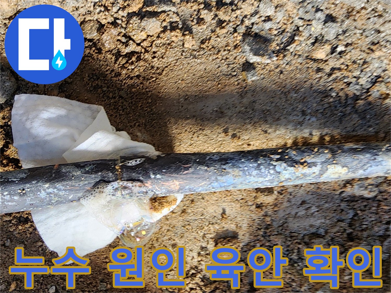 노원구 월계동 아파트 누수 - 굴착 후 동배관 누수 원인을 육안으로 확인하는 모습