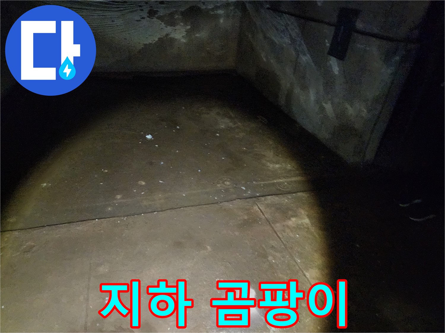 노원구 월계동 아파트 누수 피해 현장 - 누수로 인해 손상된 바닥의 모습입니다. 꼼꼼한 시공으로 완벽하게 해결해 드립니다.
