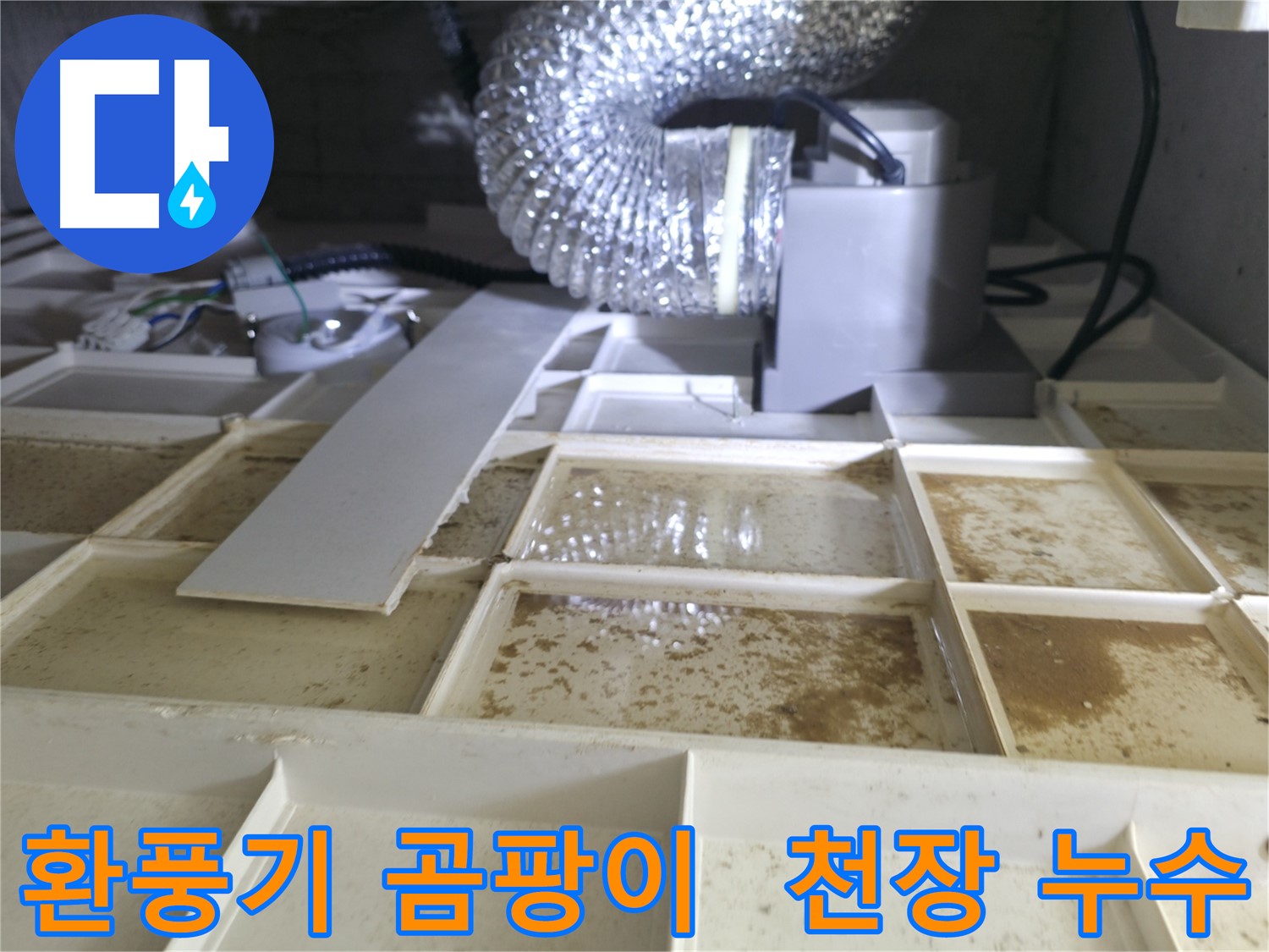 화성 향남 아파트 환풍기 주변 곰팡이 발생 - 천장 누수 의심