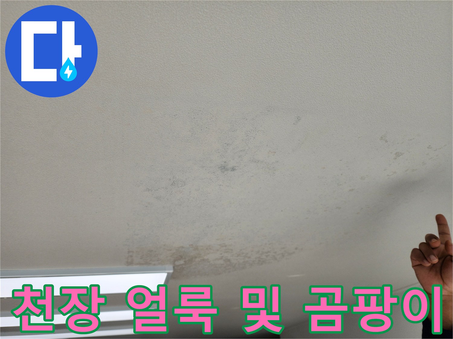 거실 천장에 발생한 넓은 범위의 누수 흔적과 곰팡이 현상