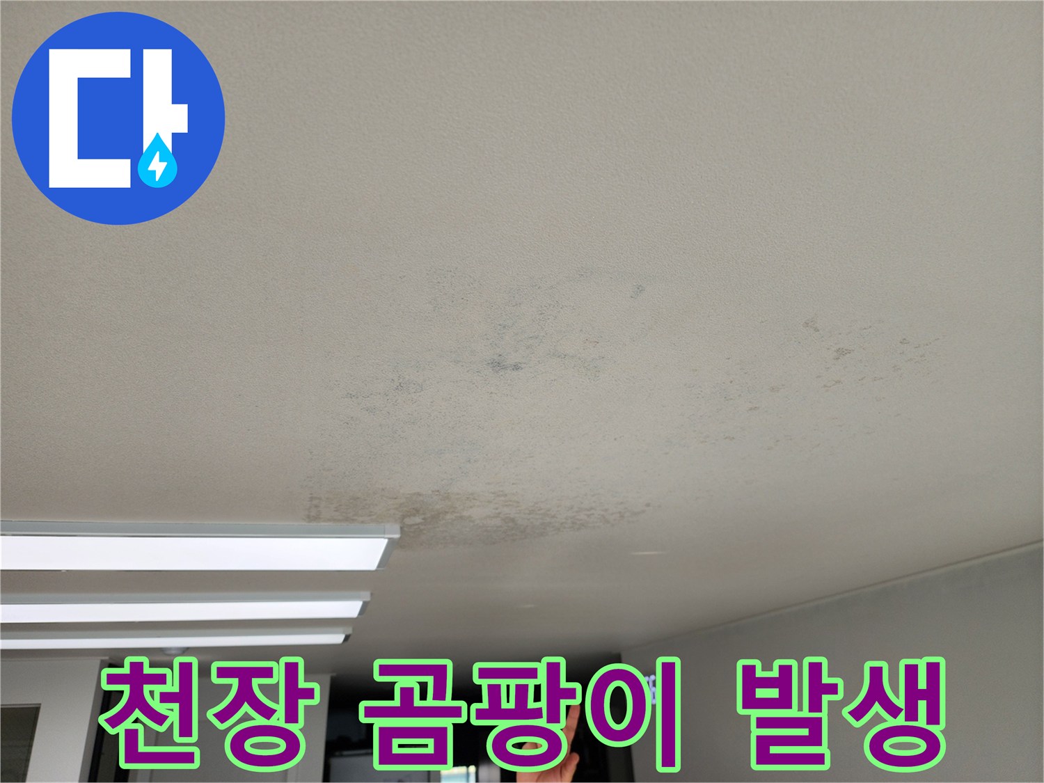 누수로 인해 오염된 천장 벽지의 곰팡이 및 변색 상태