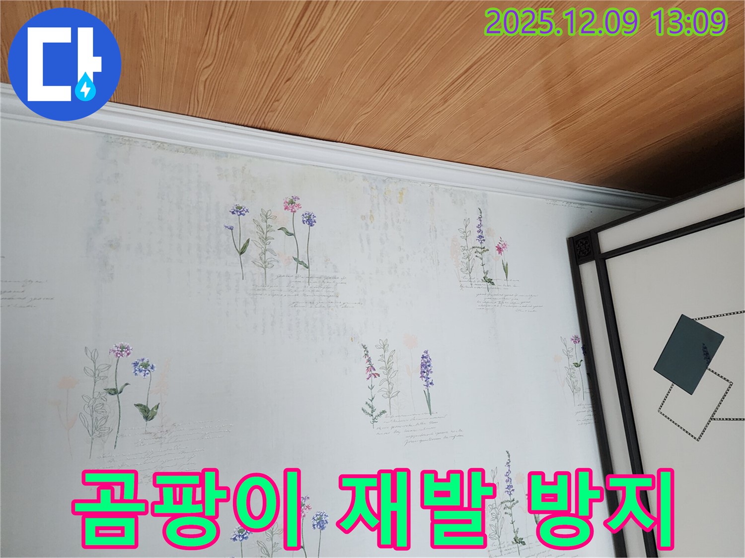 벽지 곰팡이 - 재발 방지까지 책임지는 전문적인 누수 탐지 서비스를 제공합니다.