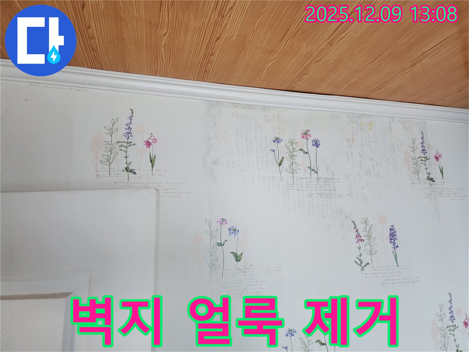 벽지 얼룩 제거 - 누수 해결 - 완벽 시공
