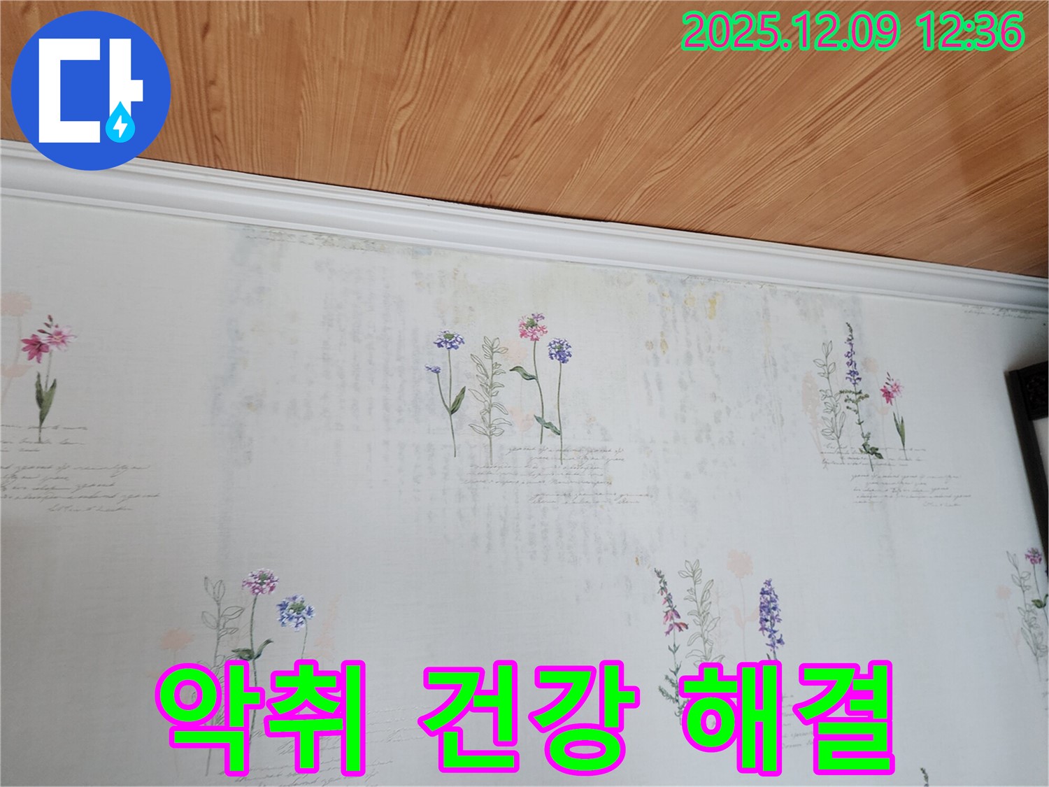 성동리 누수 문제 해결 전문 - 곰팡이 악취 벽지 문제의 근본 원인인 누수를 확실하게 해결하여 가족 건강을 지키는 완벽한 누수 공사