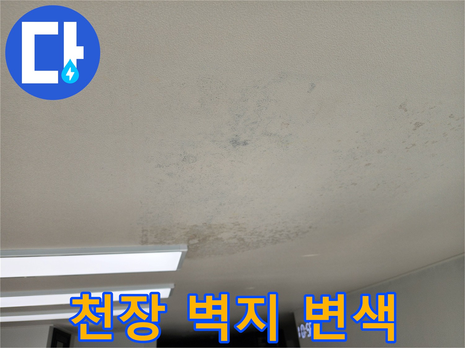 습기로 인해 누렇게 변색된 천장 마감재 사진