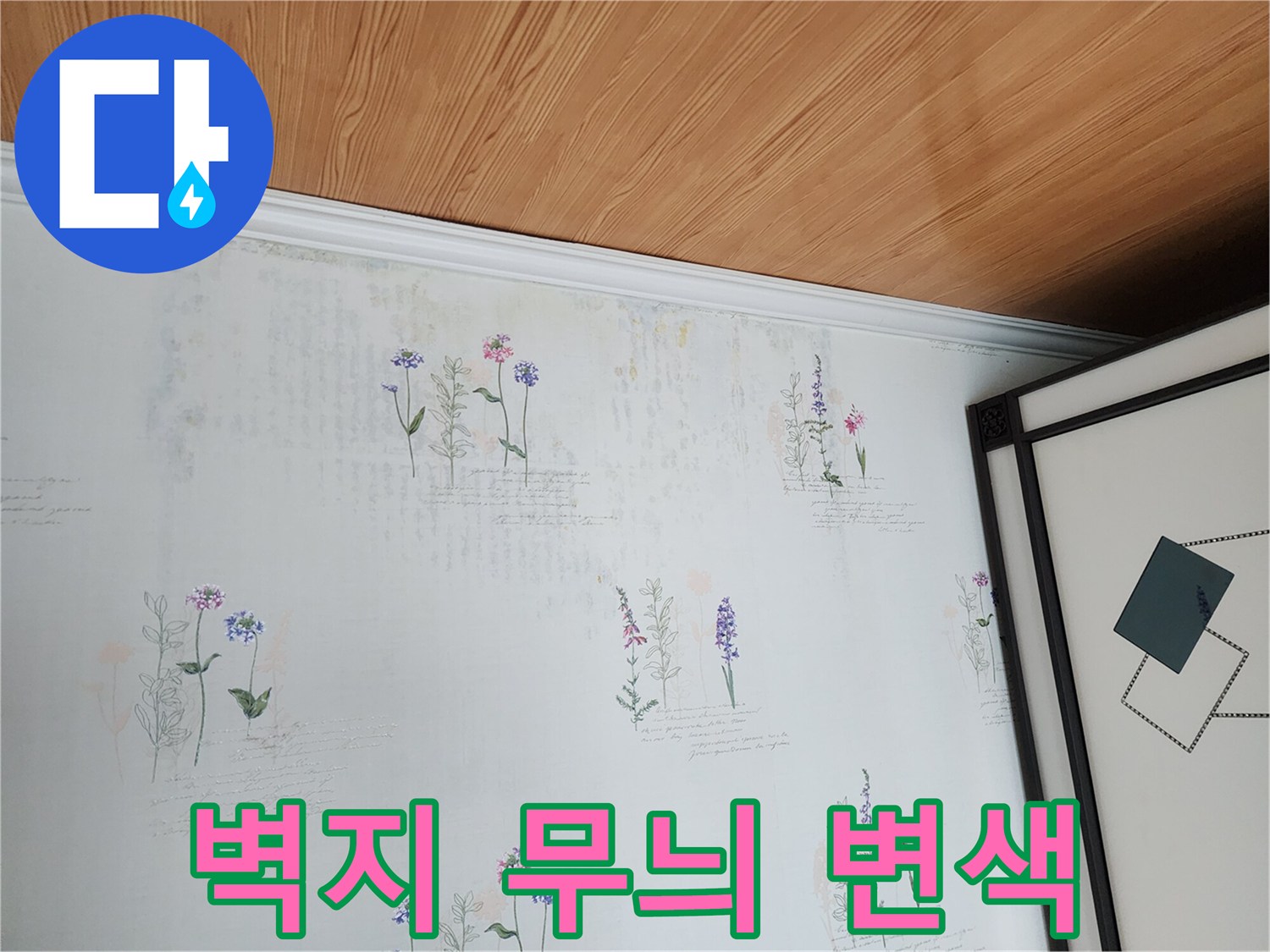 얼룩진 꽃무늬 벽면-누수 의심 부위 촬영