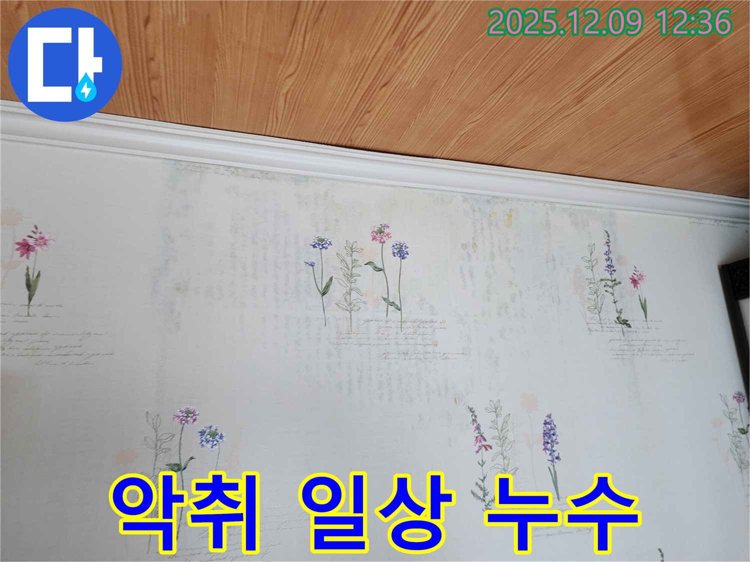 영중면 성동리 누수 문제 해결 - 곰팡이 악취 벽지로 인한 쾌적한 일상 파괴 문제 해결 누수 공사