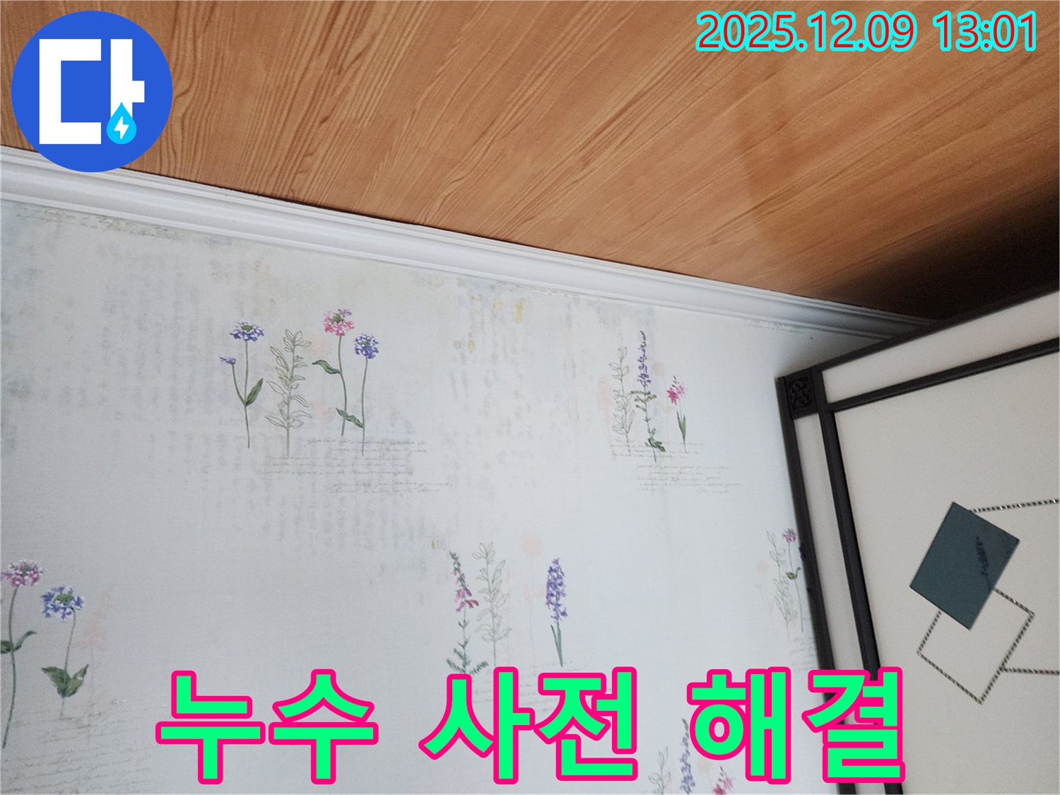 영중면 성동리 누수 현장 - 곰팡이 사전 진단 및 완벽 해결 솔루션