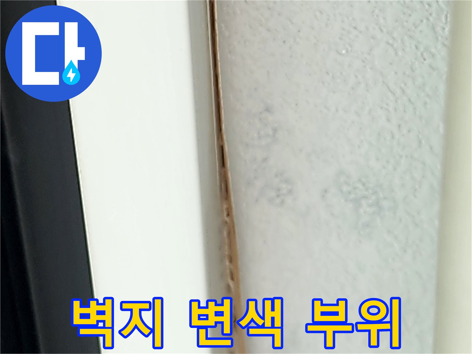 영중면 성동리 현장의 젖은 벽지 모습 - 누수 탐지 기록