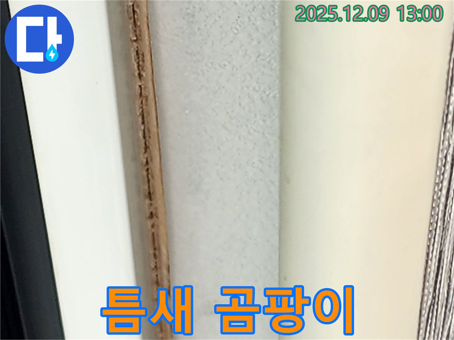창틀 틈새 곰팡이 - 완벽하게 제거해 드리겠습니다.