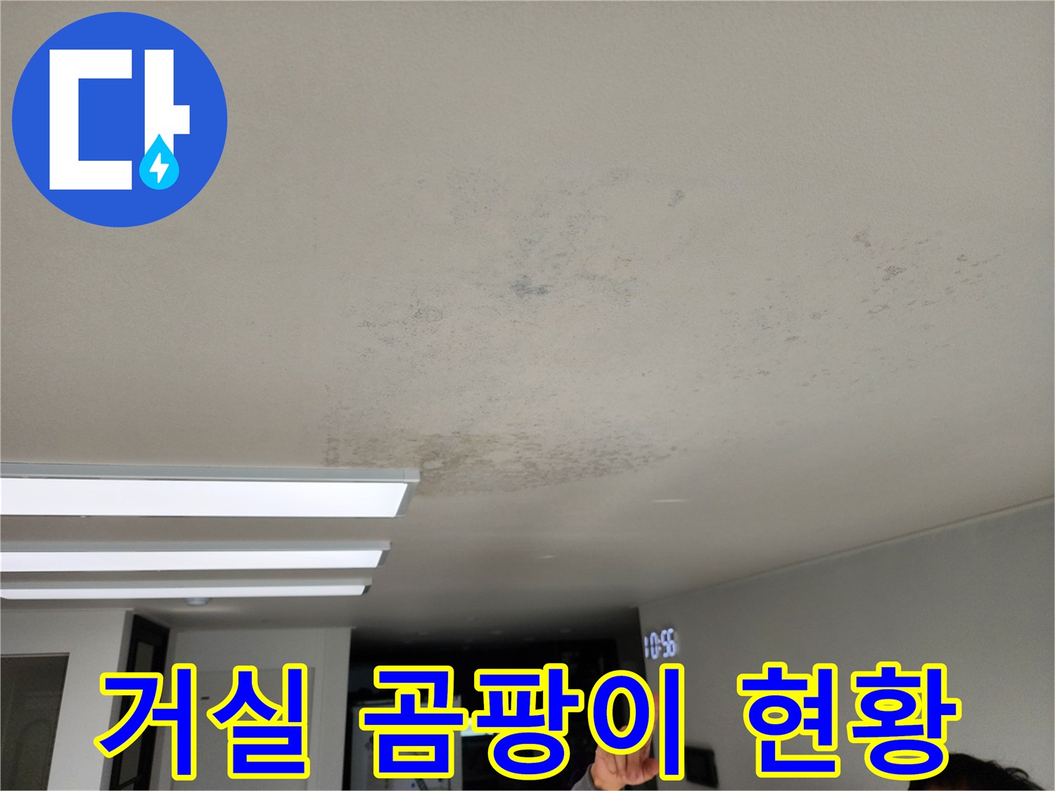 천장 마감재 표면에 발생한 검은색 곰팡이 흔적