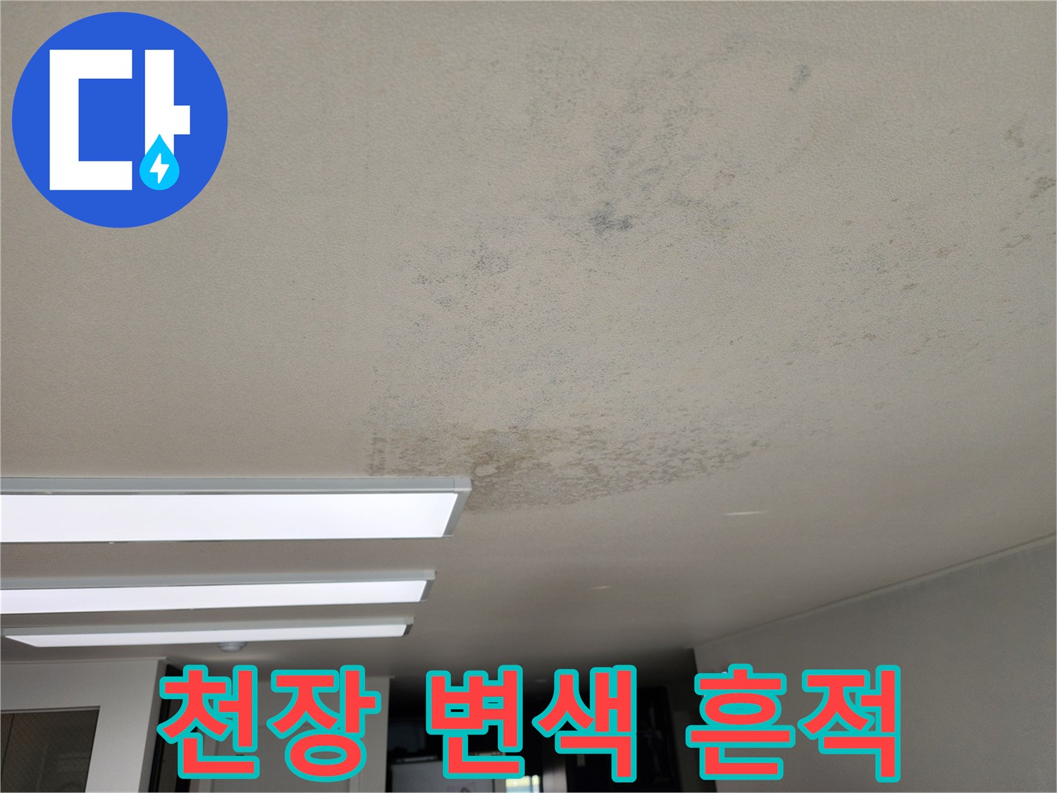 천장 마감재에 나타난 수분 침투 및 얼룩 부위