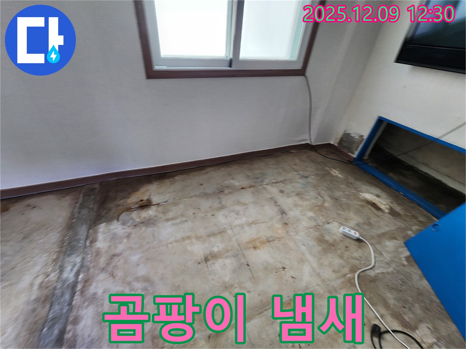 포천 누수 - 콘크리트 바닥 곰팡이 냄새, 영중면 성동리 누수 해결 전문가가 함께합니다.