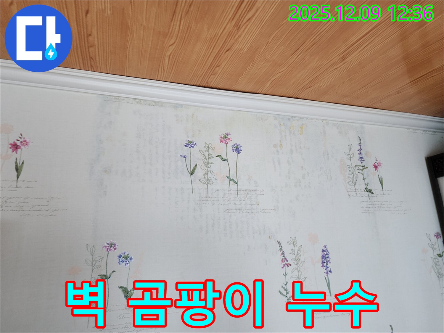 포천 누수탐지 전문 - 곰팡이 핀 벽의 누수 원인을 정확하게 진단하고 완벽하게 해결하는 누수 공사 과정