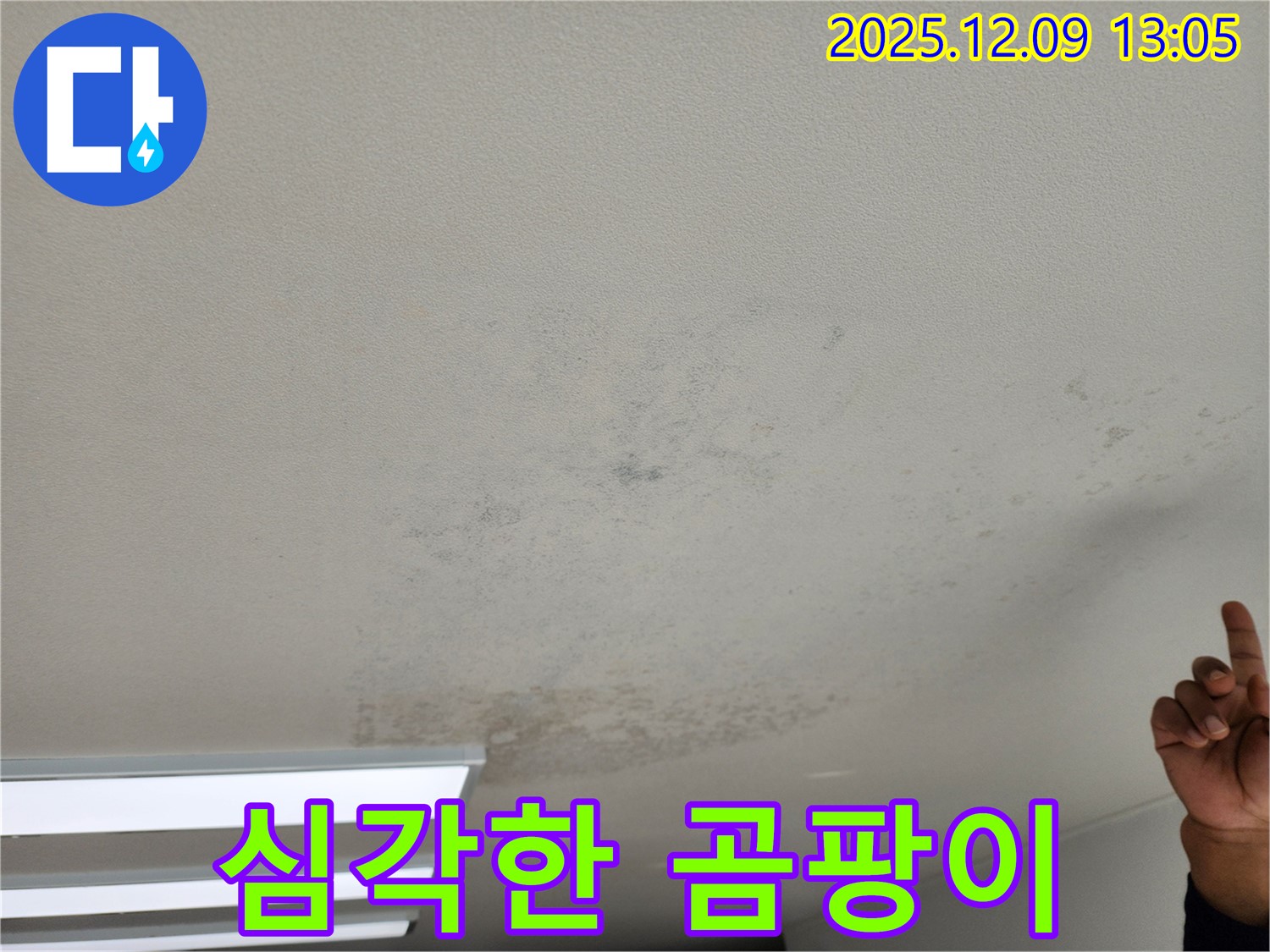 포천 영중면 긴급 누수 - 곰팡이 심각한 천장, 긴급 누수 해결 전문가가 도와드립니다.