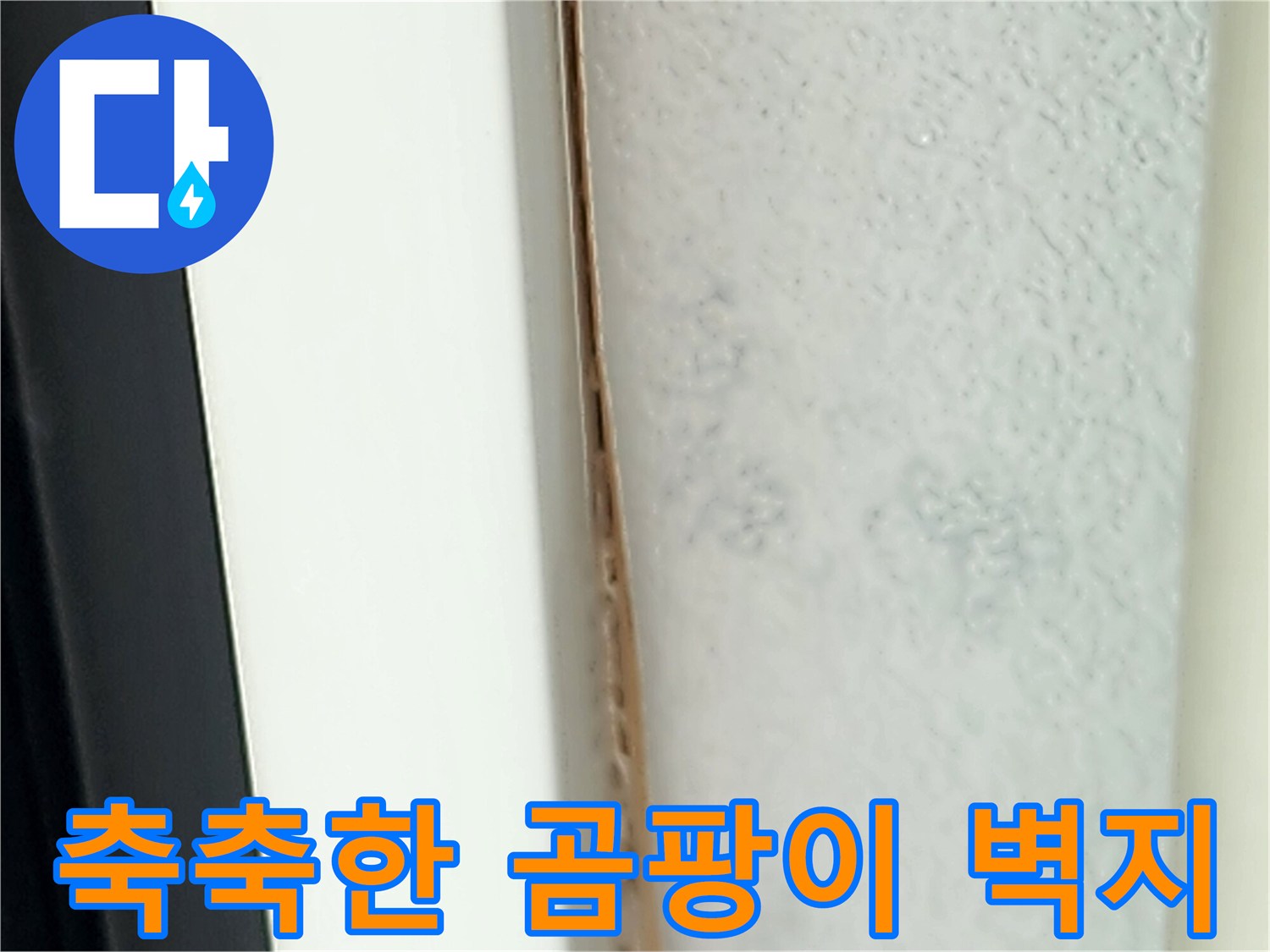 포천 영중면 내부-물샘 증상이 나타난 벽면 부분