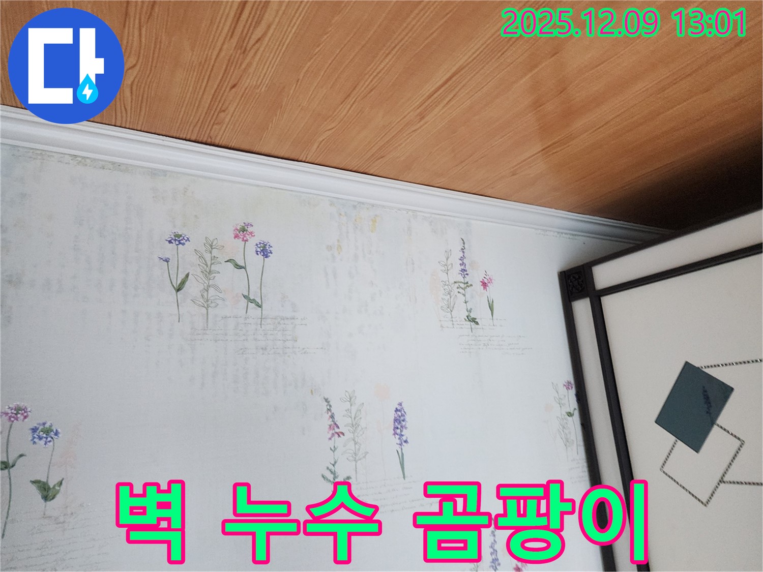 포천 영중면 누수 현장 - 벽에 스며든 물과 곰팡이 초기 증상