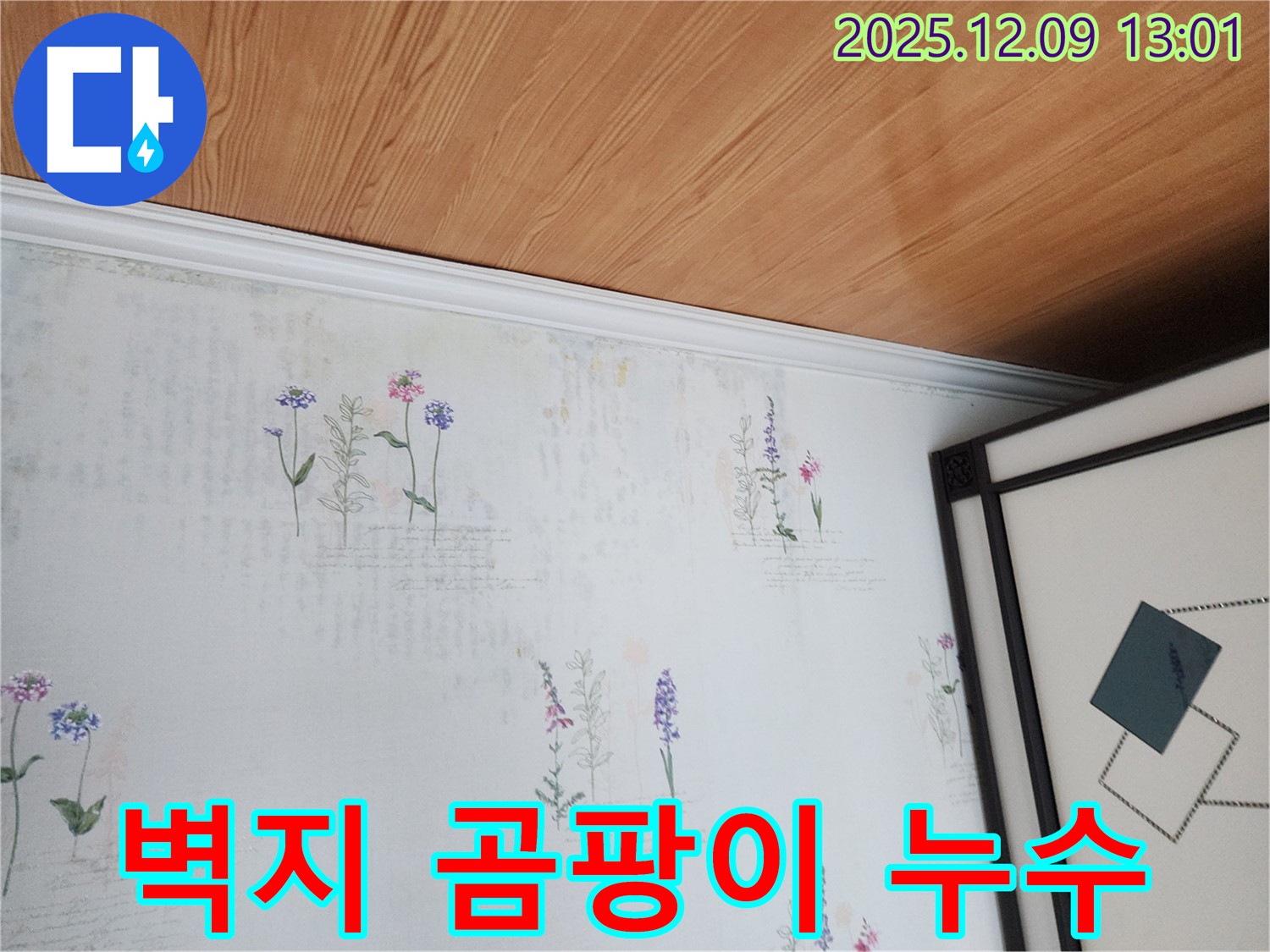 포천 영중면 누수 현장 - 벽지 곰팡이 발생 원인 탐지 및 해결 과정