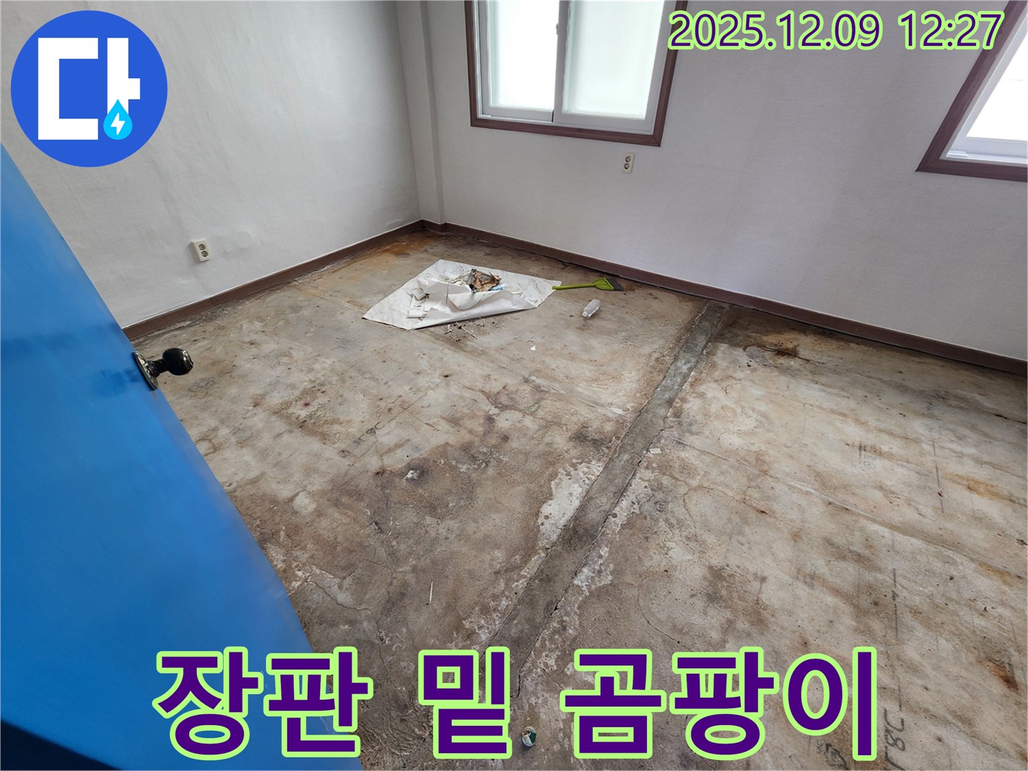 포천시 영중면 성동리 누수 - 장판 밑 곰팡이는 숨겨진 누수의 신호일 수 있습니다.